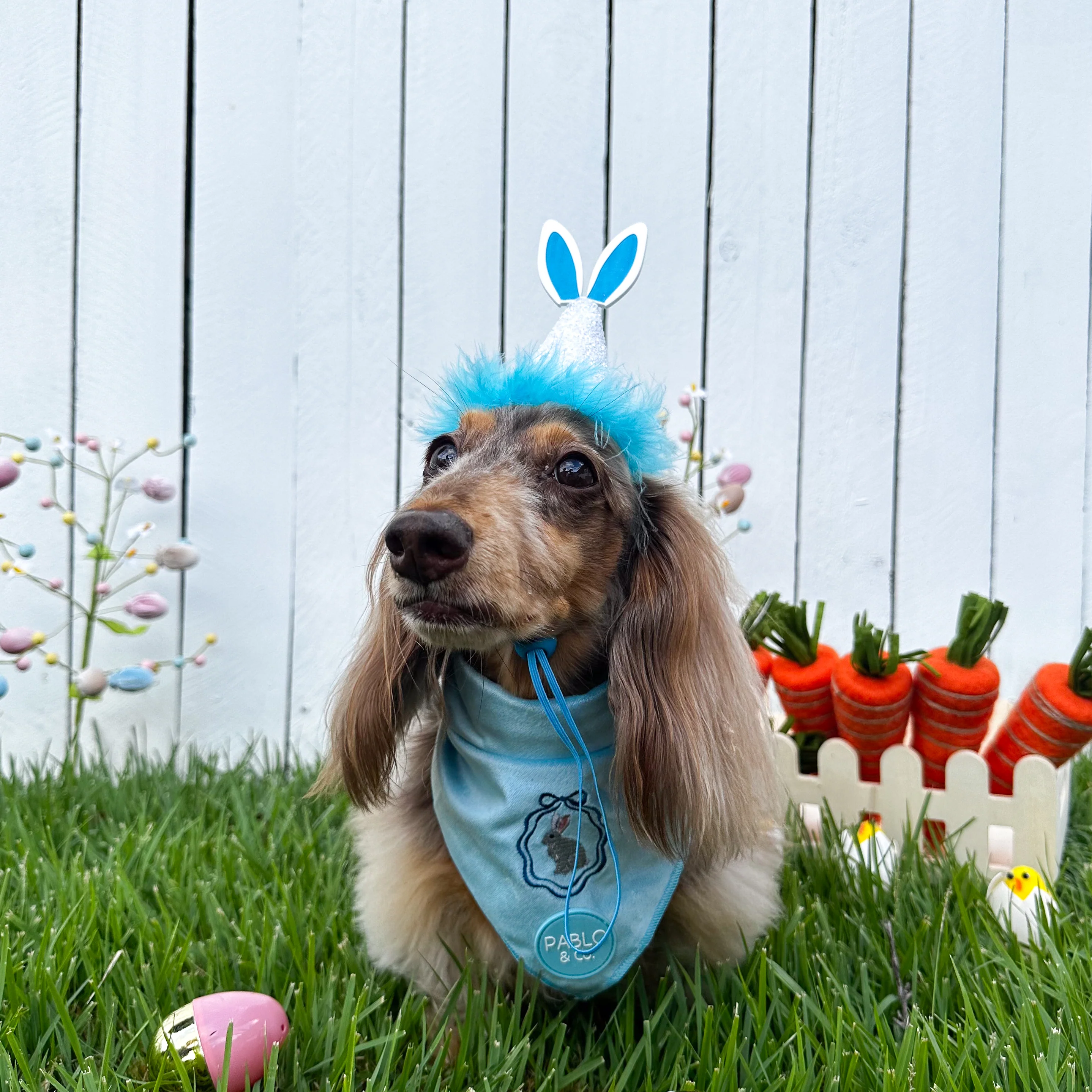 Easter Bunny: Velvet Dog Bandana - Image 3