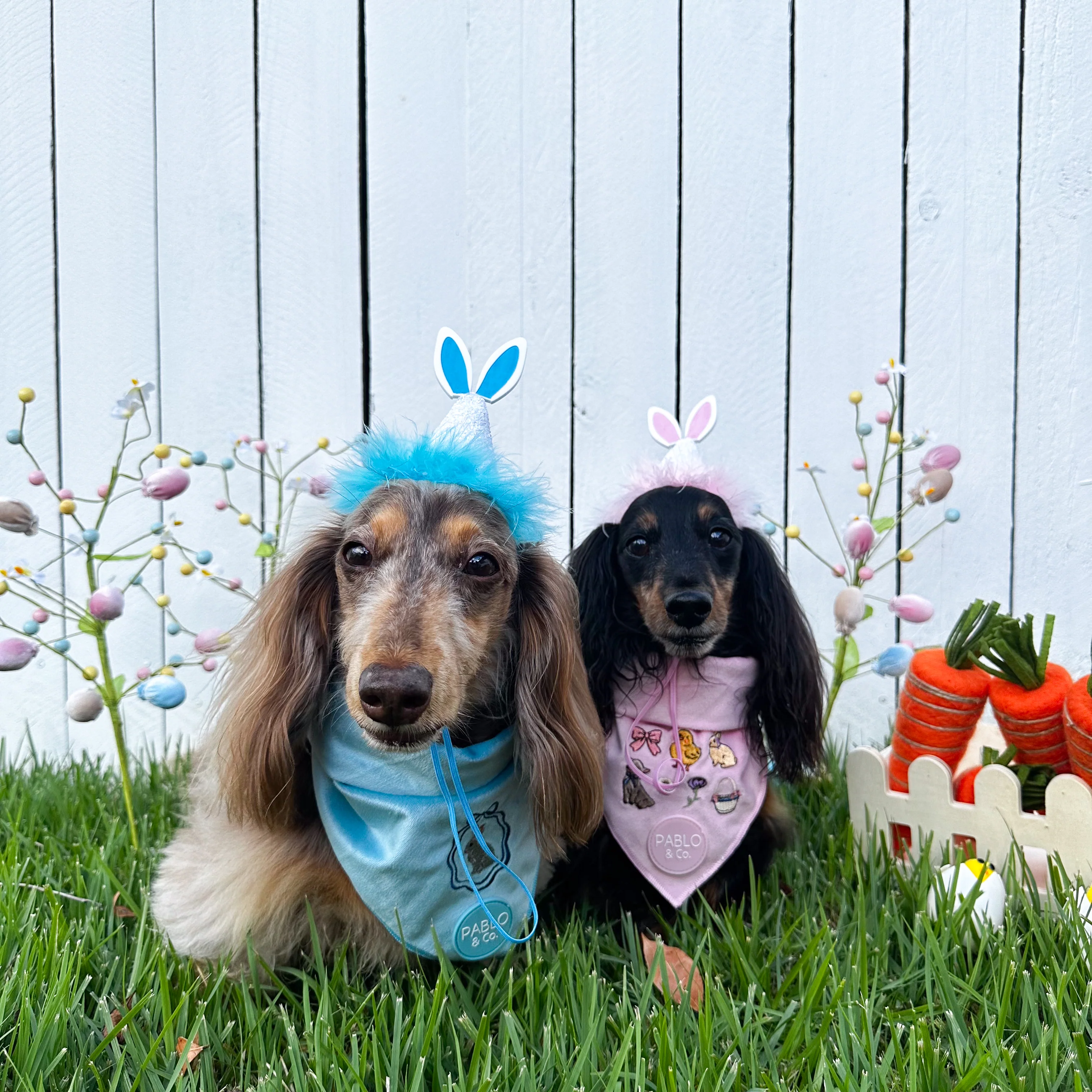 Easter Bunny: Velvet Dog Bandana - Image 5