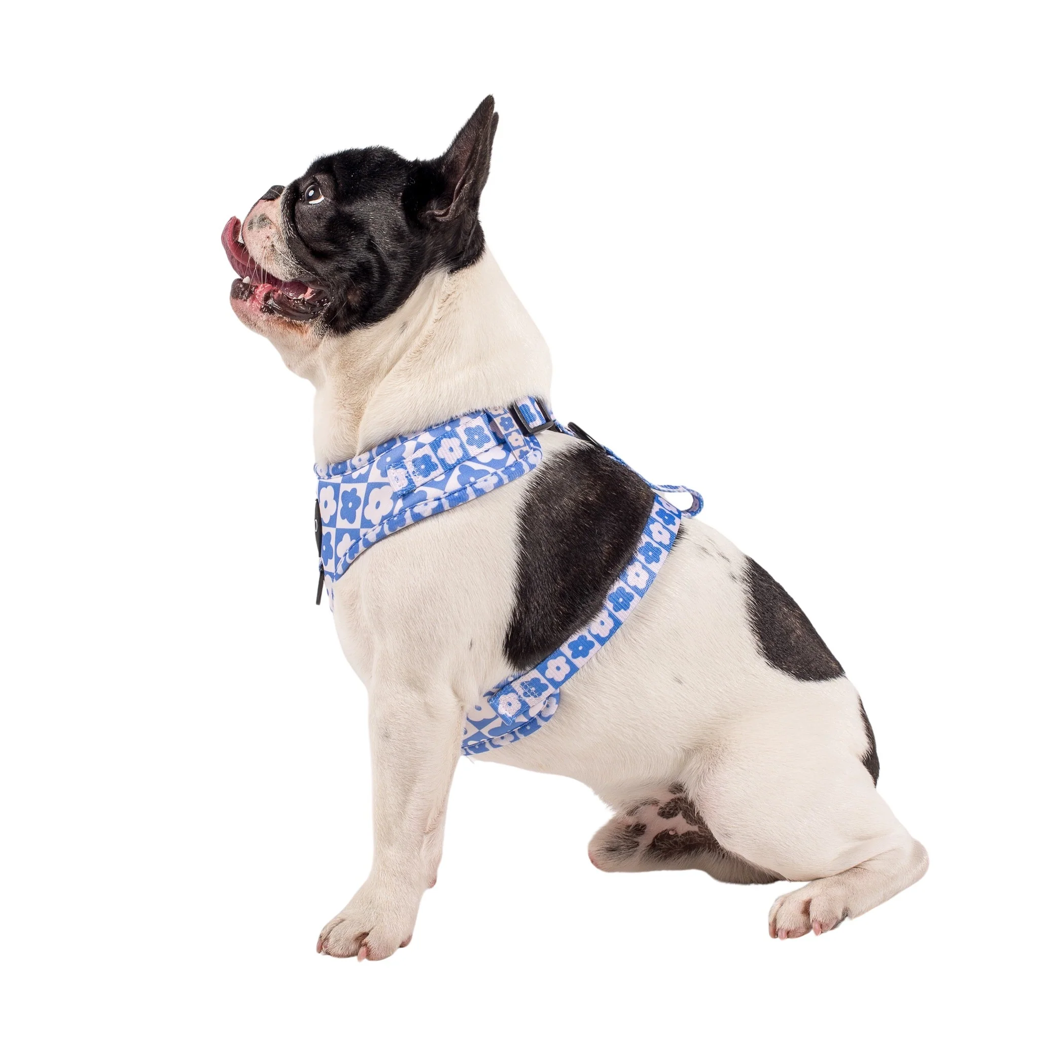 Blue Checkered Daisies: Adjustable Harness - Image 2