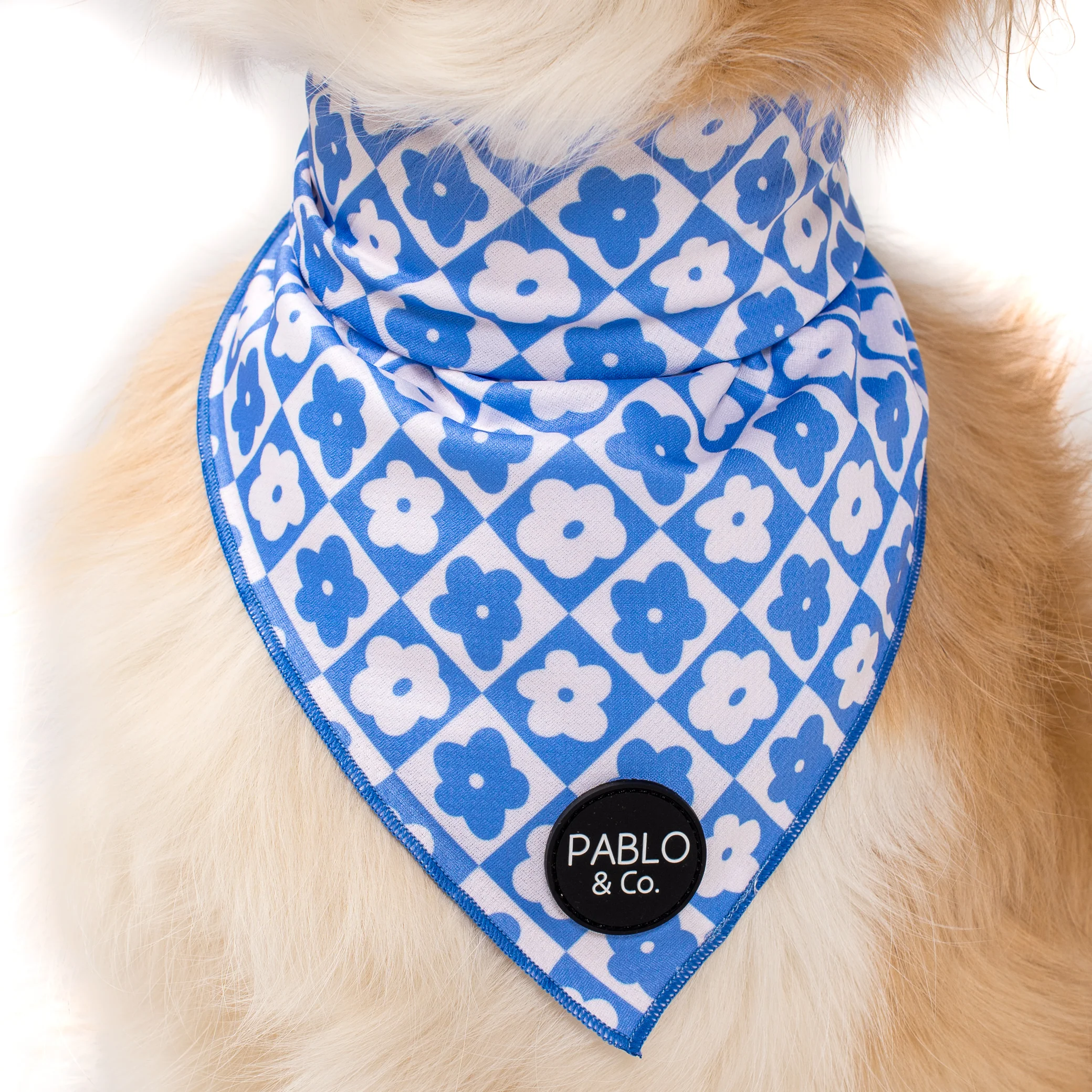 Blue Checkered Daisies - Dog Bandana - Image 2