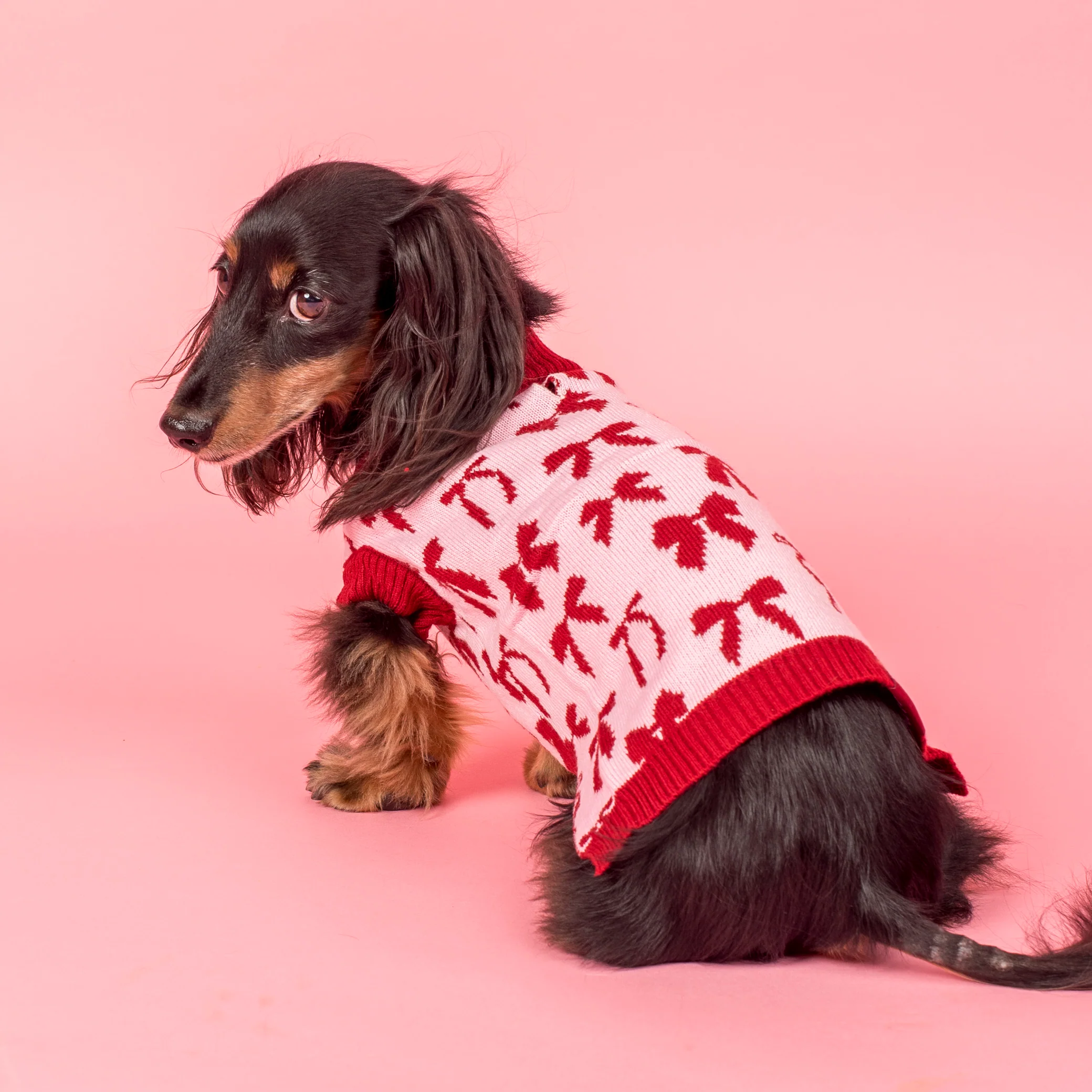 Blush Bows Sweater - Image 10
