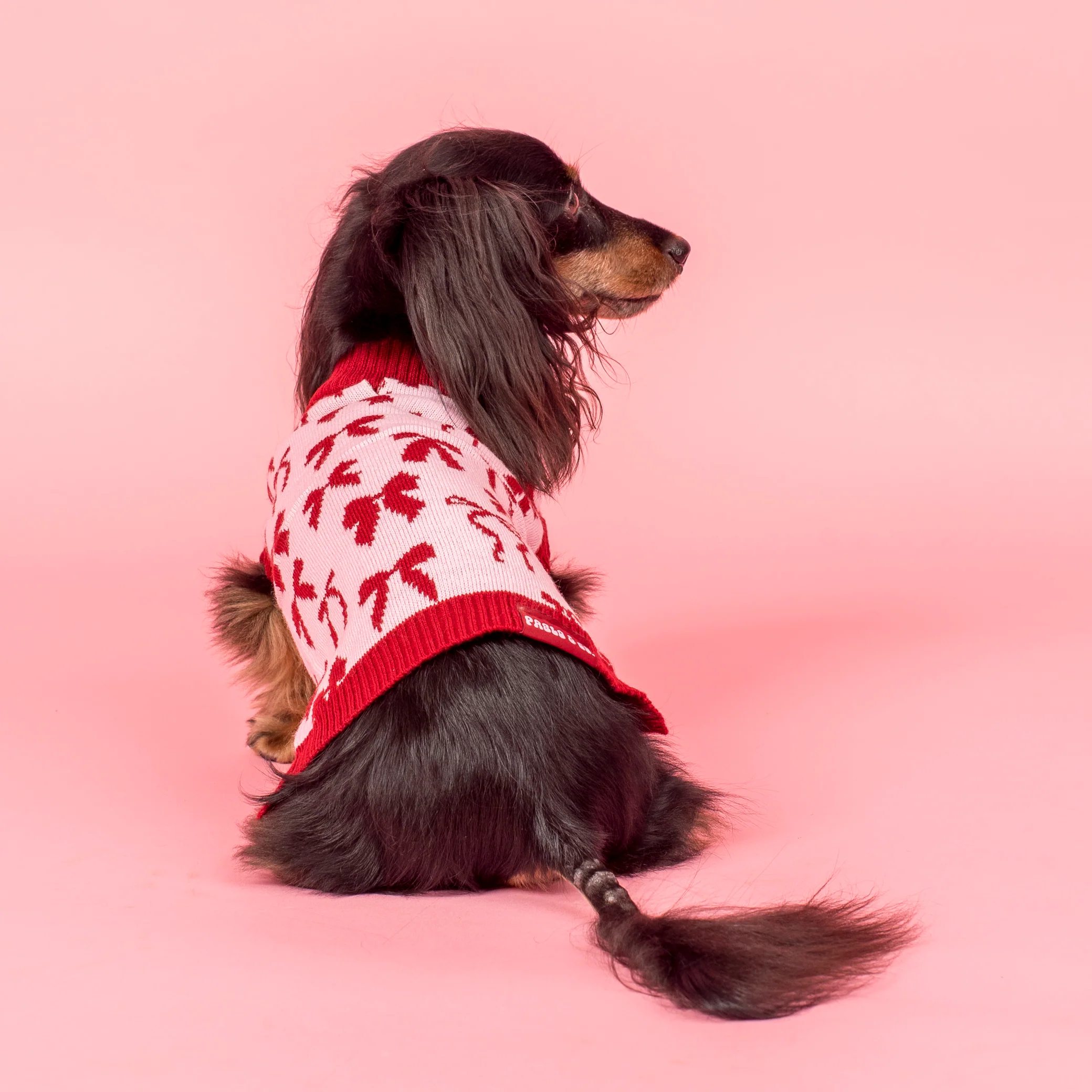 Blush Bows Sweater - Image 5