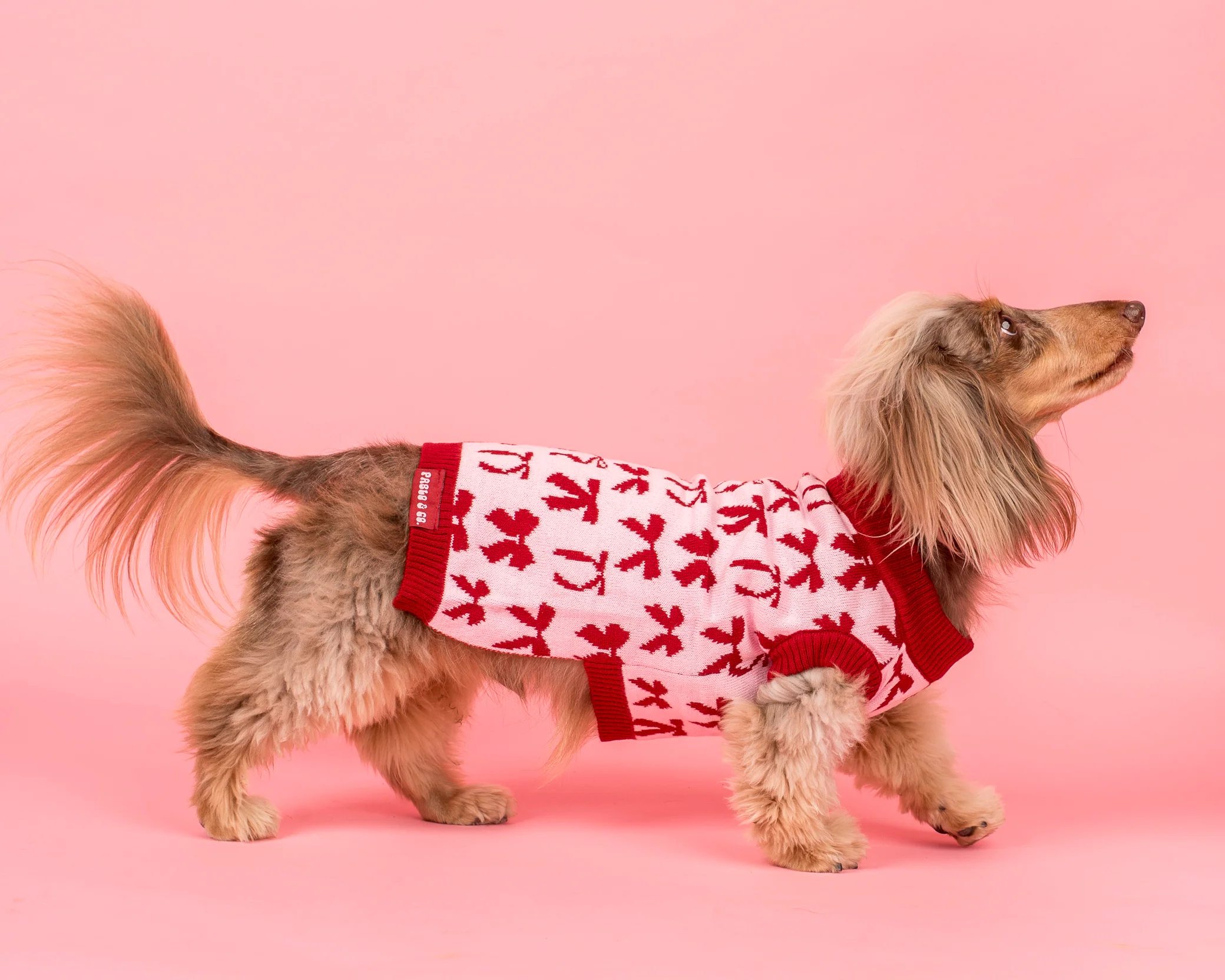 Blush Bows Sweater - Image 6