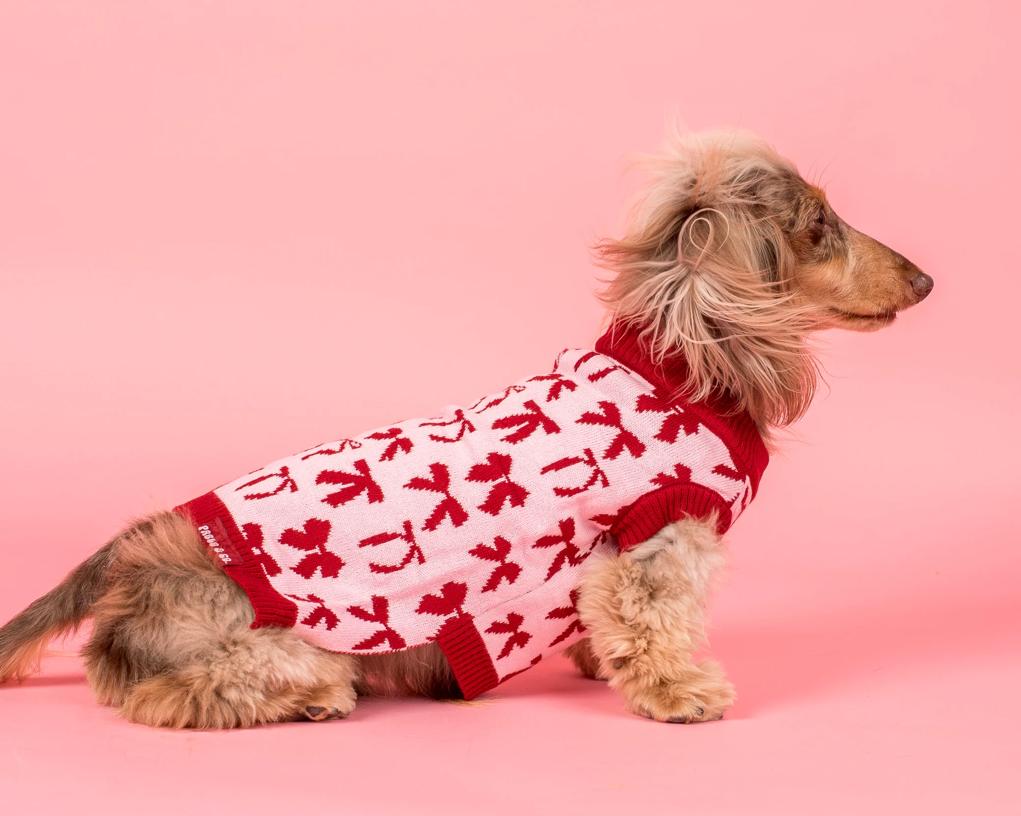 Blush Bows Sweater - Image 7