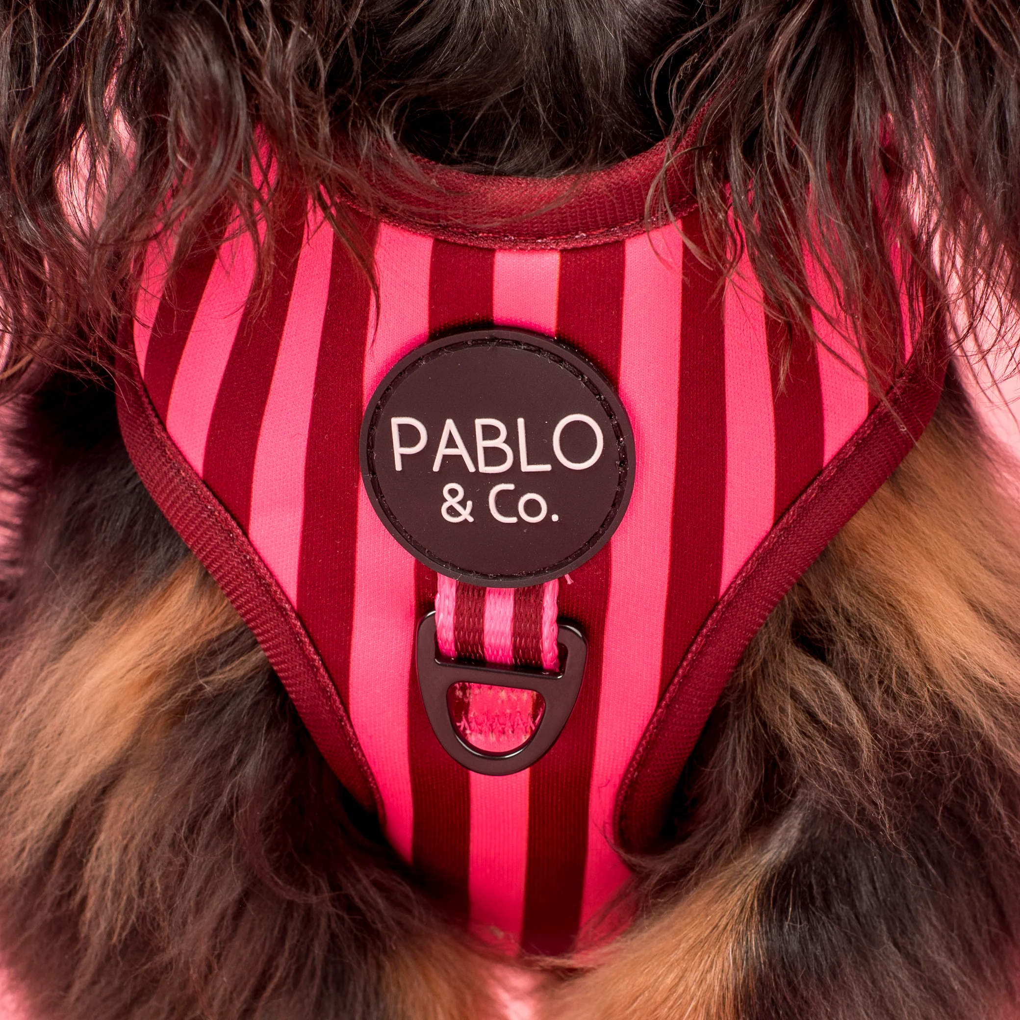 Blushing Stripes: Adjustable Harness - Image 2