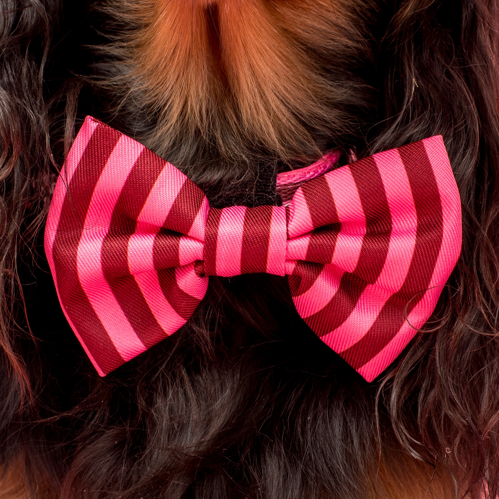 Blushing Stripes: Bow Tie - Image 2