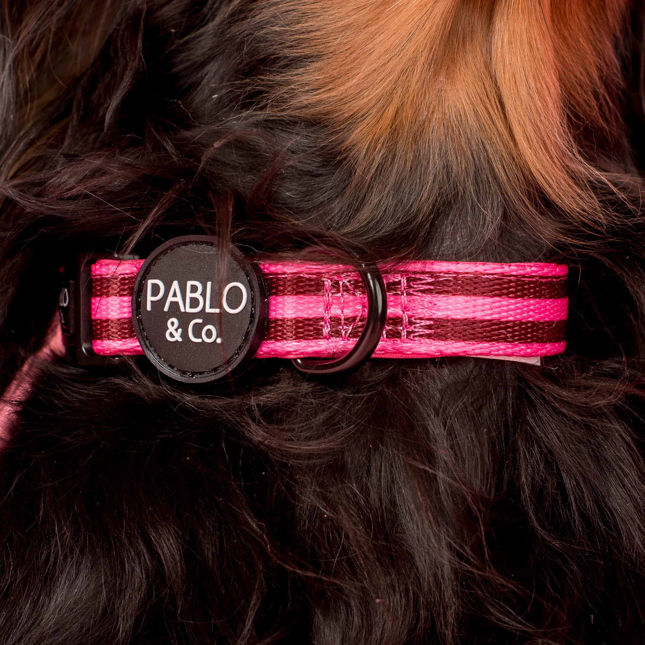 Blushing Stripes: Collar - Image 2