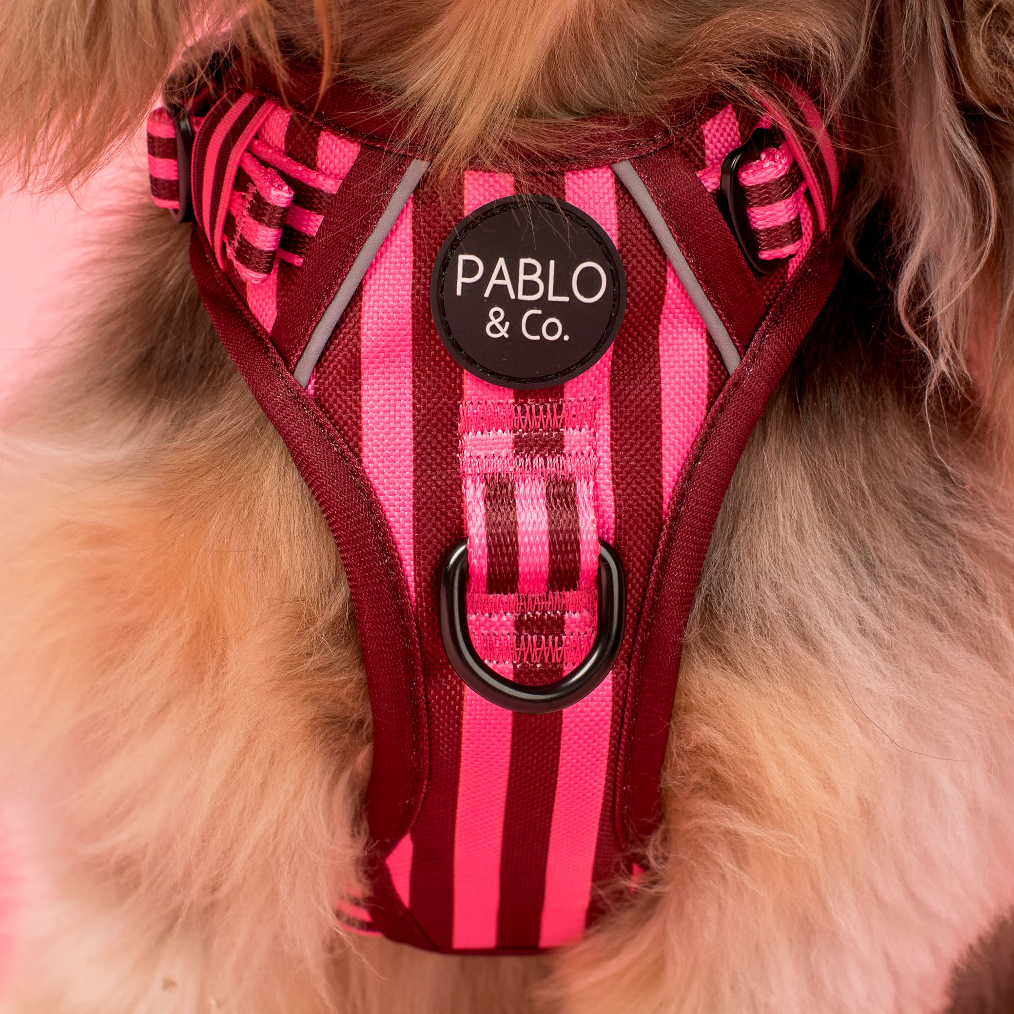 Blushing Stripes: No Pull Adventure Harness - Image 2