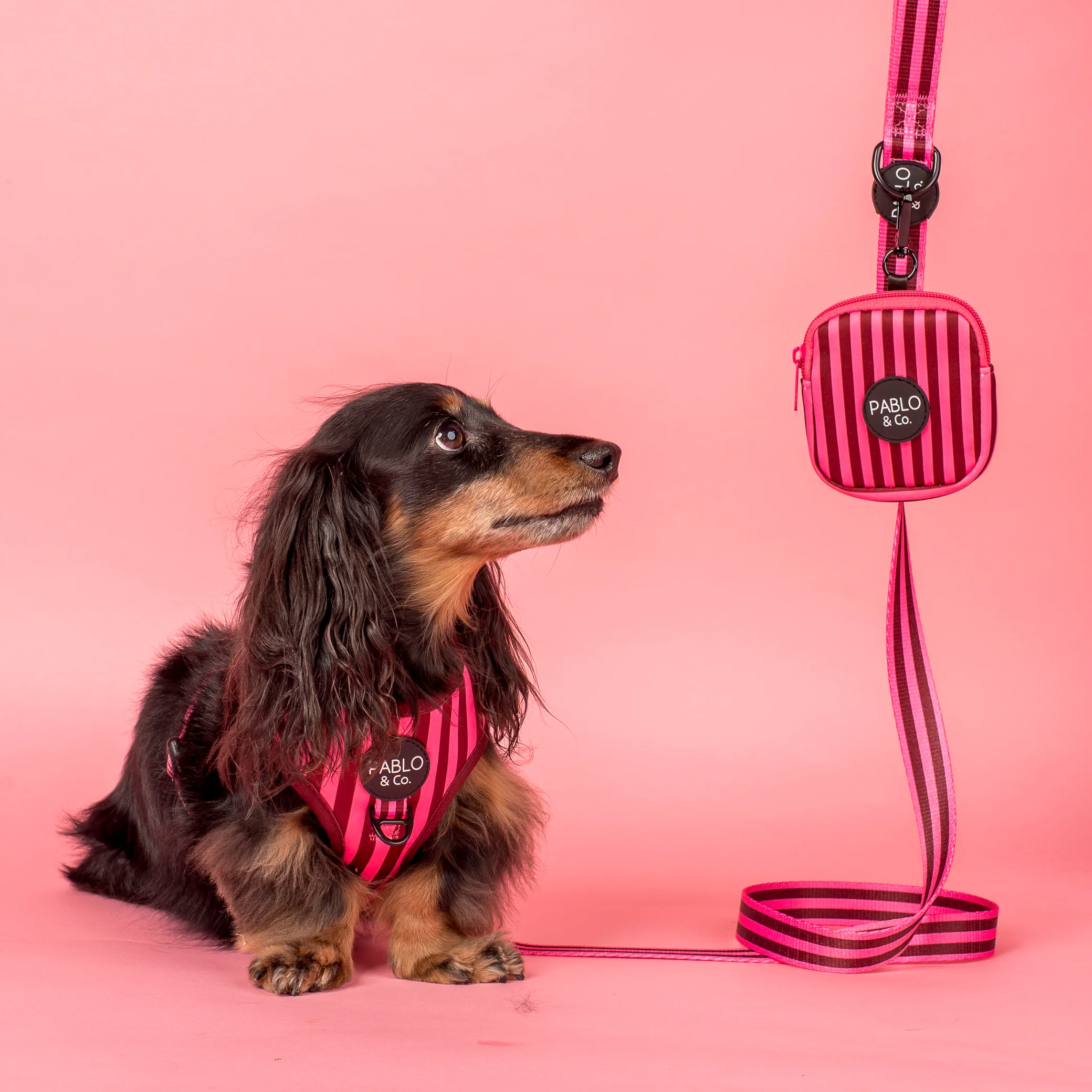 Blushing Stripes: Treat Pouch