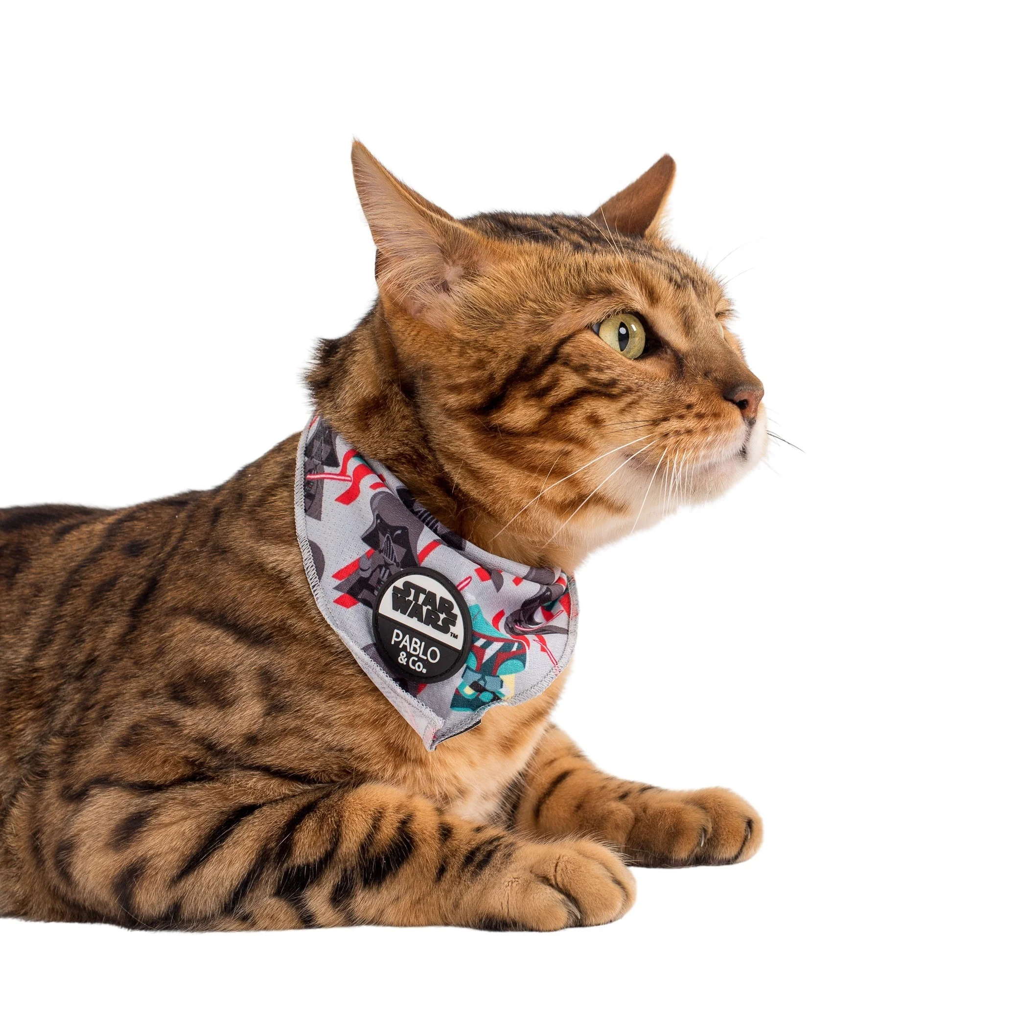 Boba Fett & Darth Vader: Cat Bandana