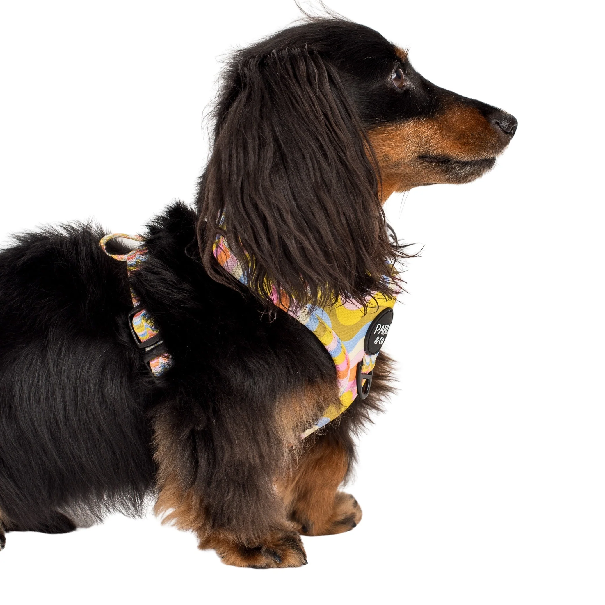 Boho Waves: Adjustable Harness - Image 5