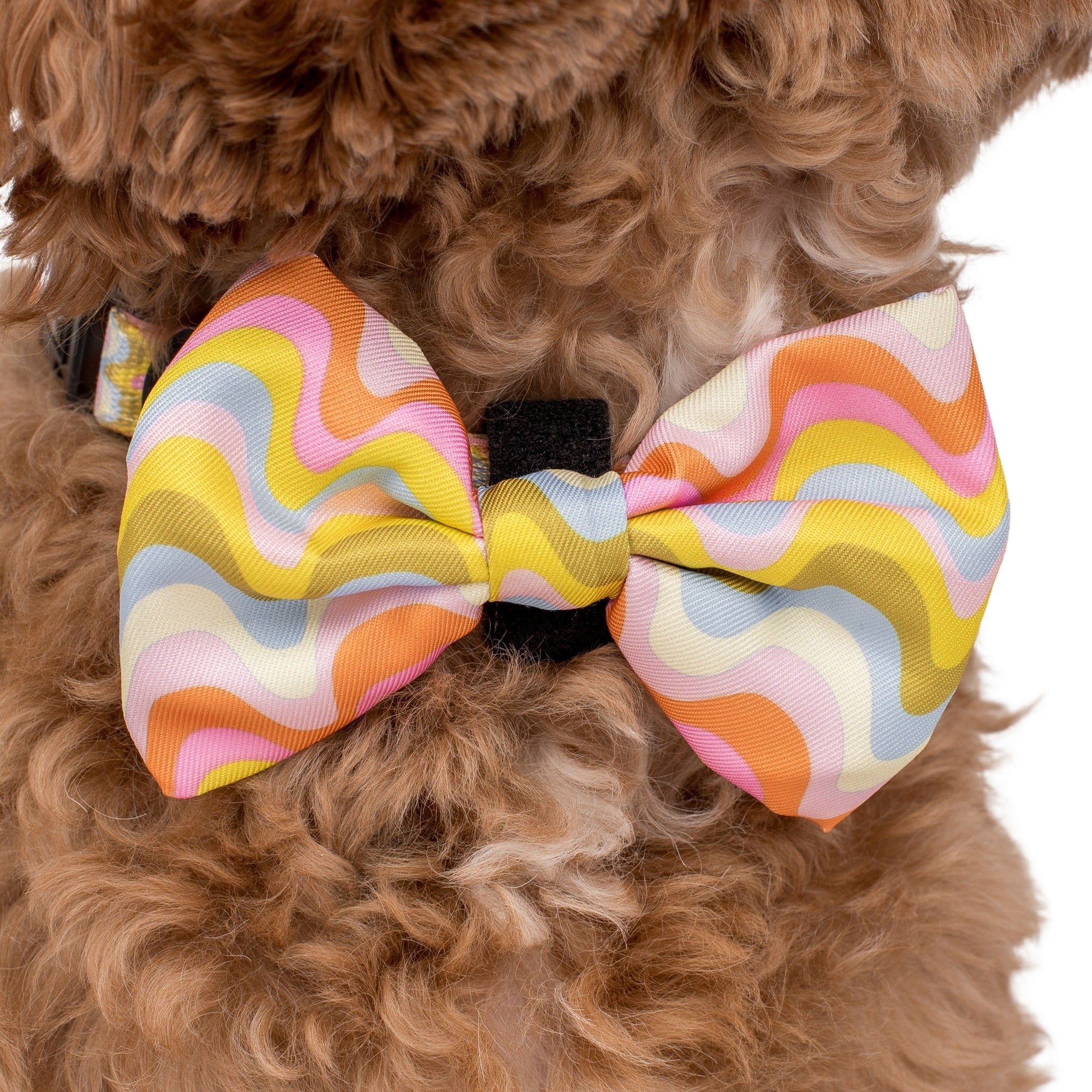 Boho Waves: Bow Tie - Image 2