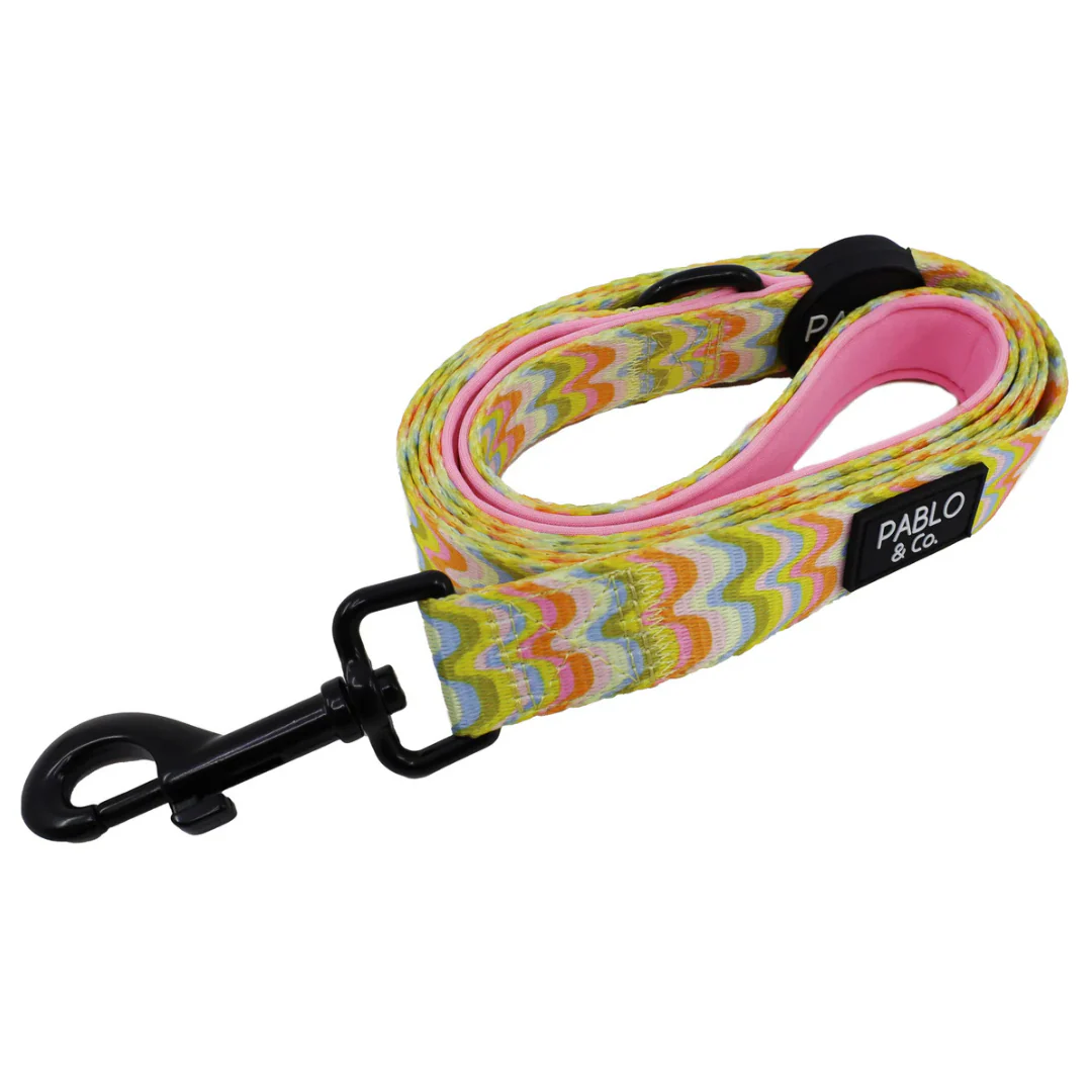 Boho Waves: Dog Leash