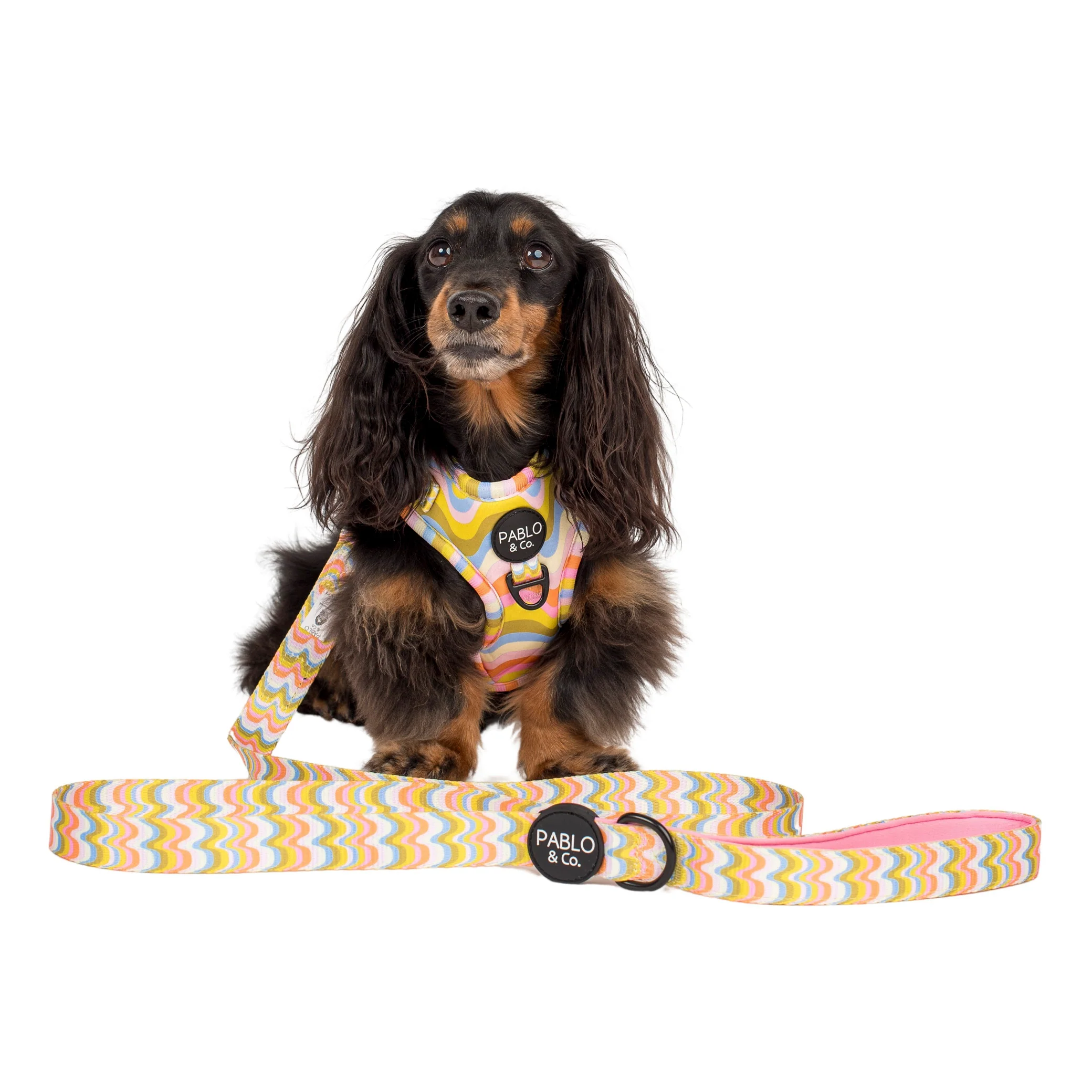 Boho Waves: Dog Leash - Image 3