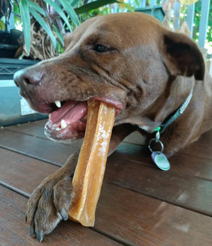 Bone Marrow Gelatin Chews - Image 2