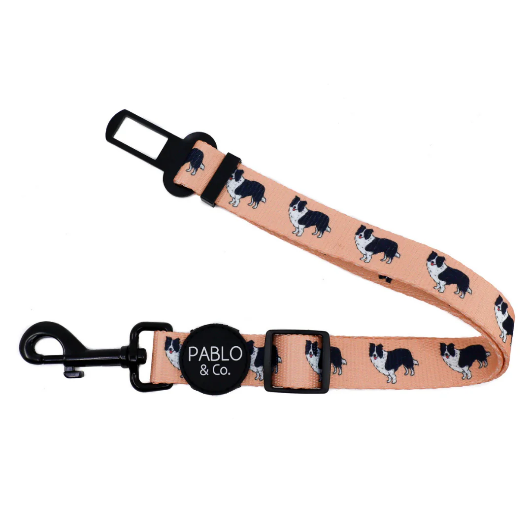 Border Collie: Adjustable Car Restraint