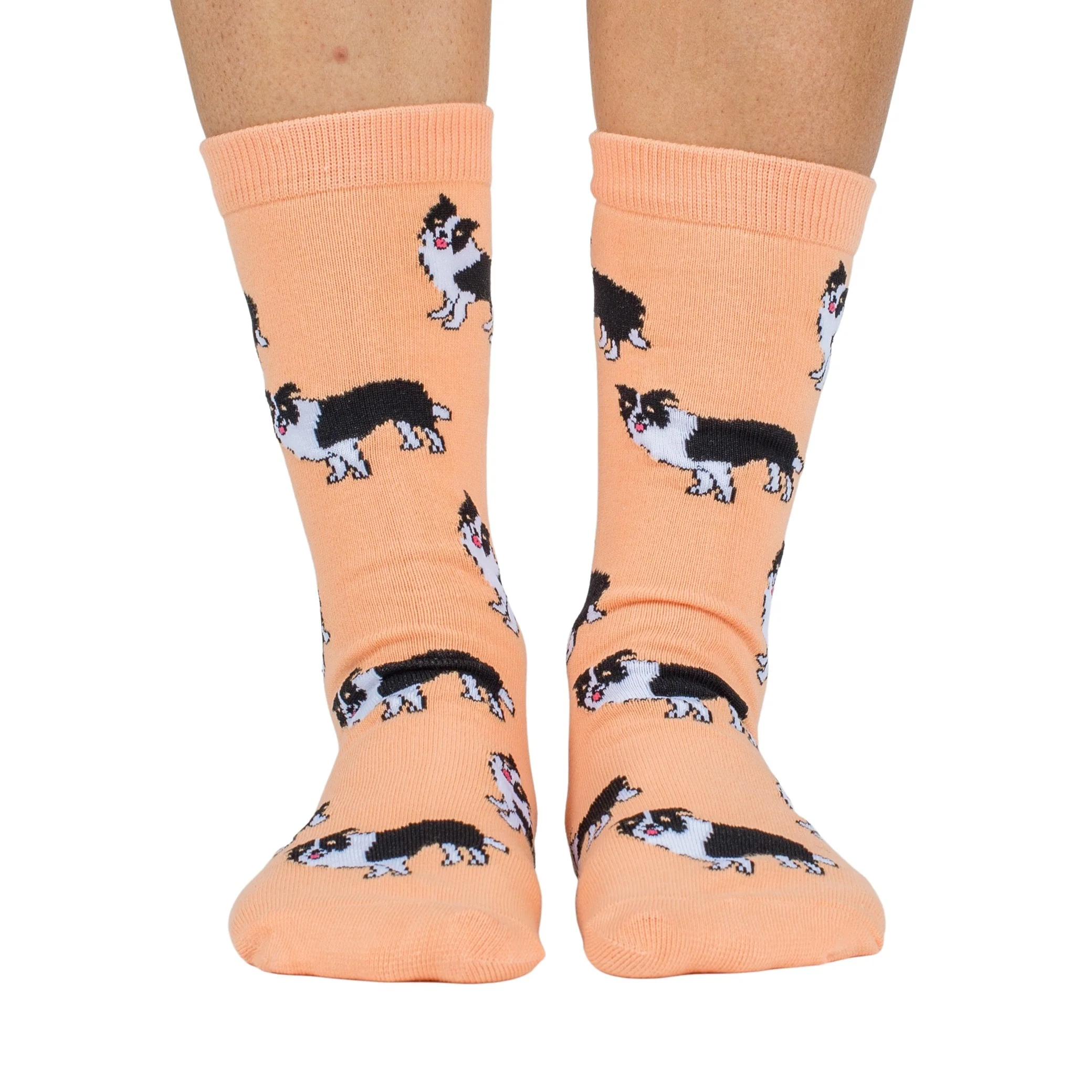 Border Collie: Breed Socks