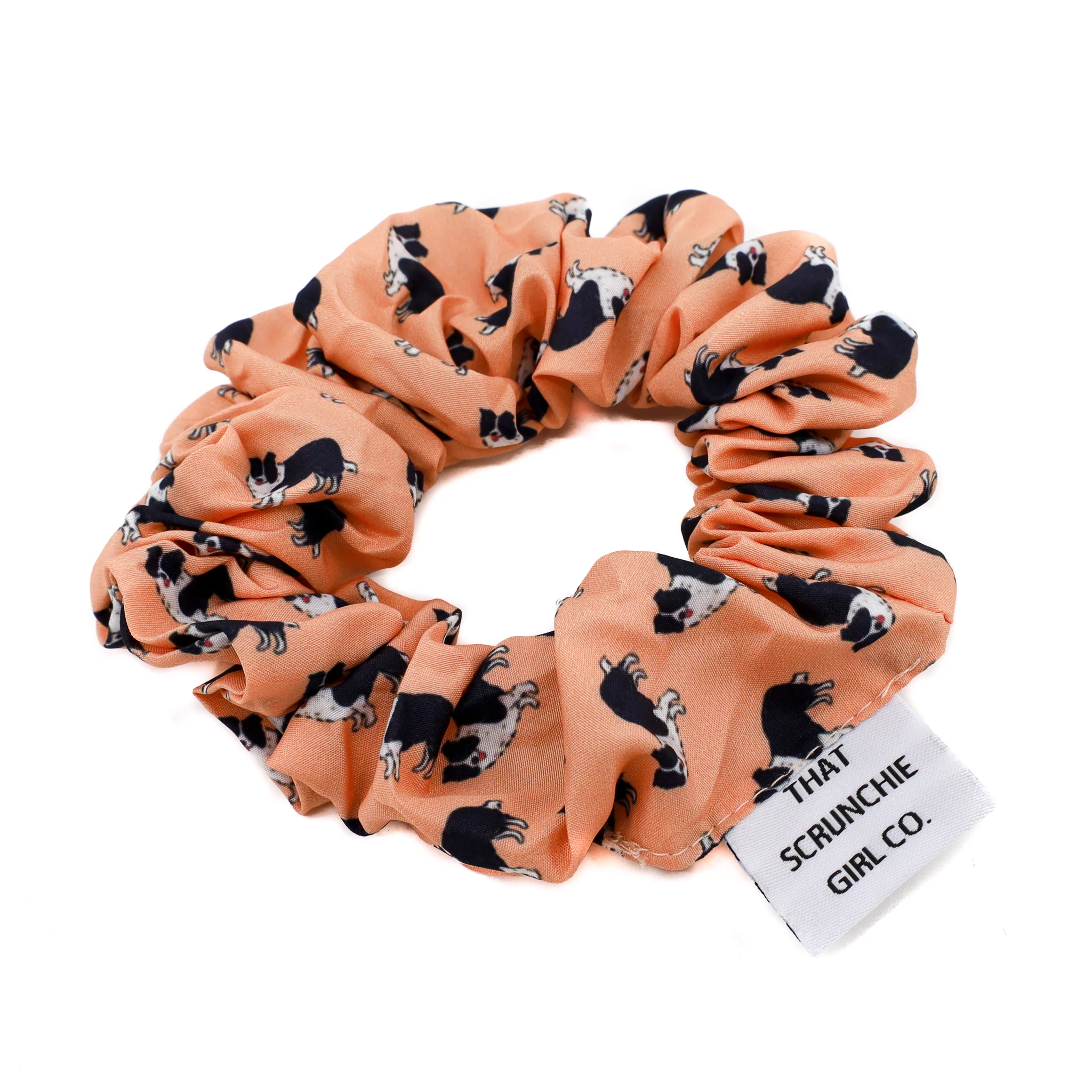 Border Collie Scrunchie