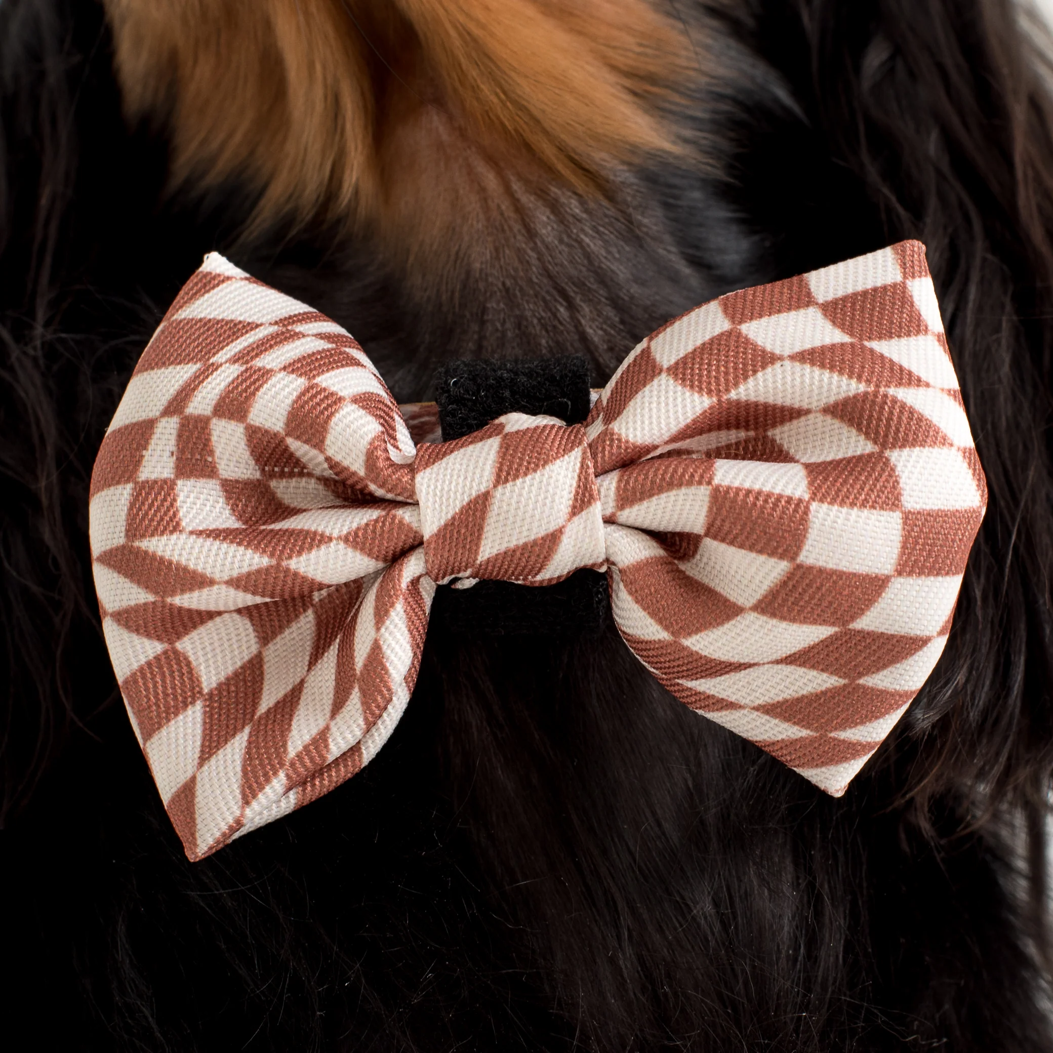 Brown Check Check: Bow Tie - Image 2