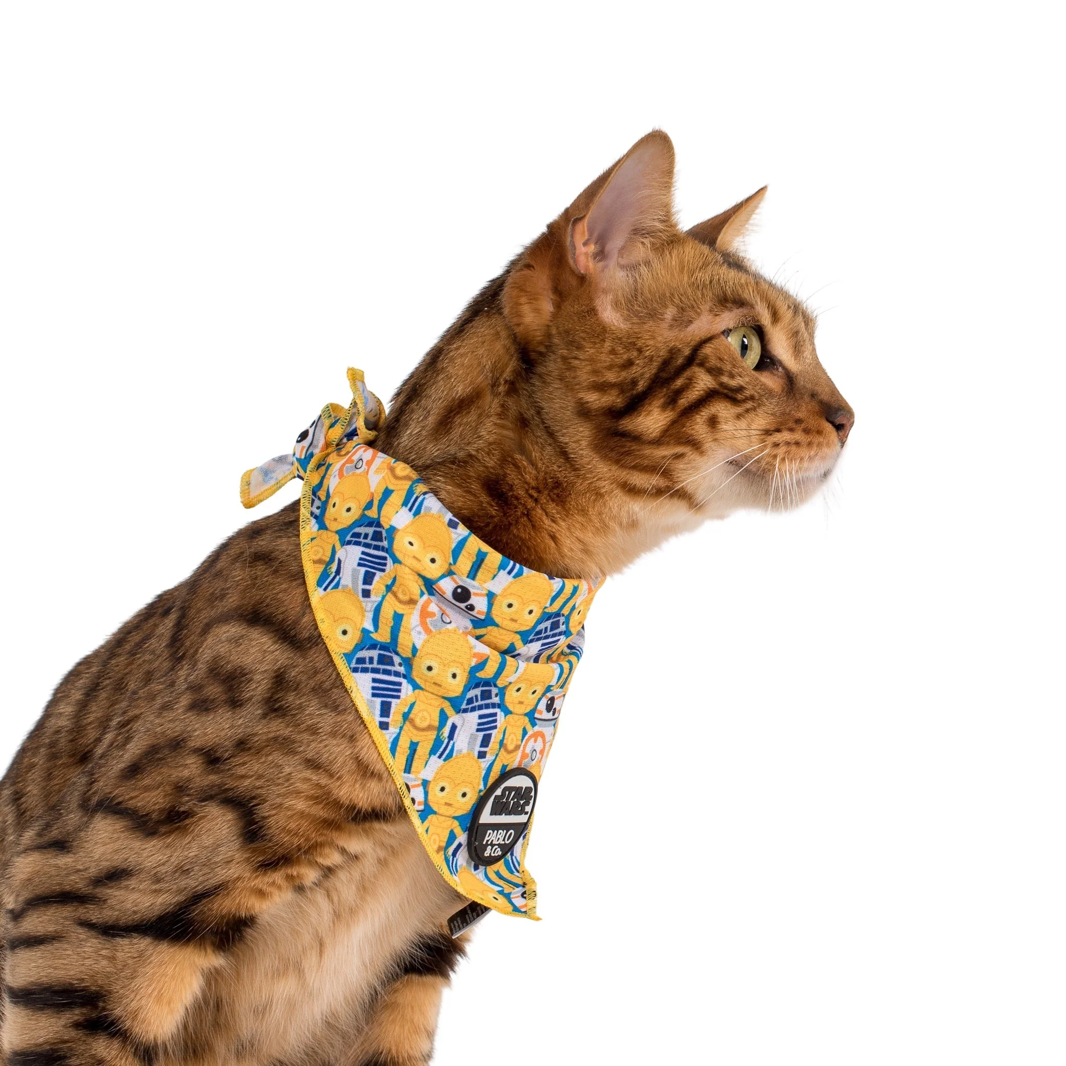 C-3PO & R2-D2: Cat Bandana