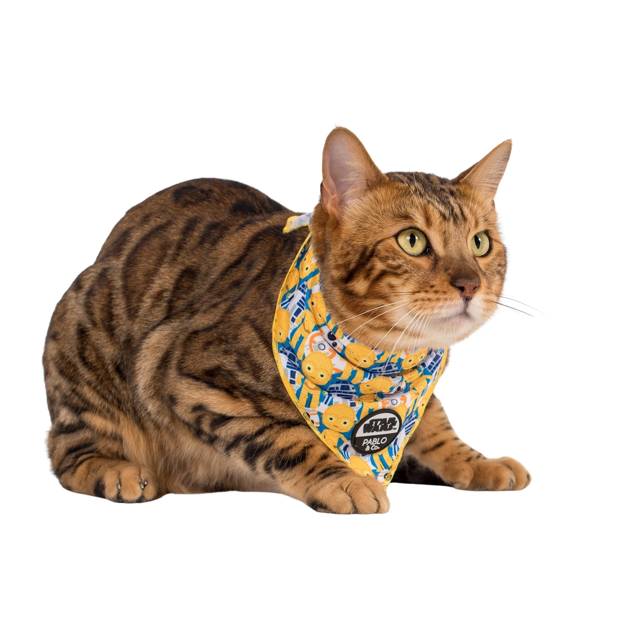 C-3PO & R2-D2: Cat Bandana - Image 2