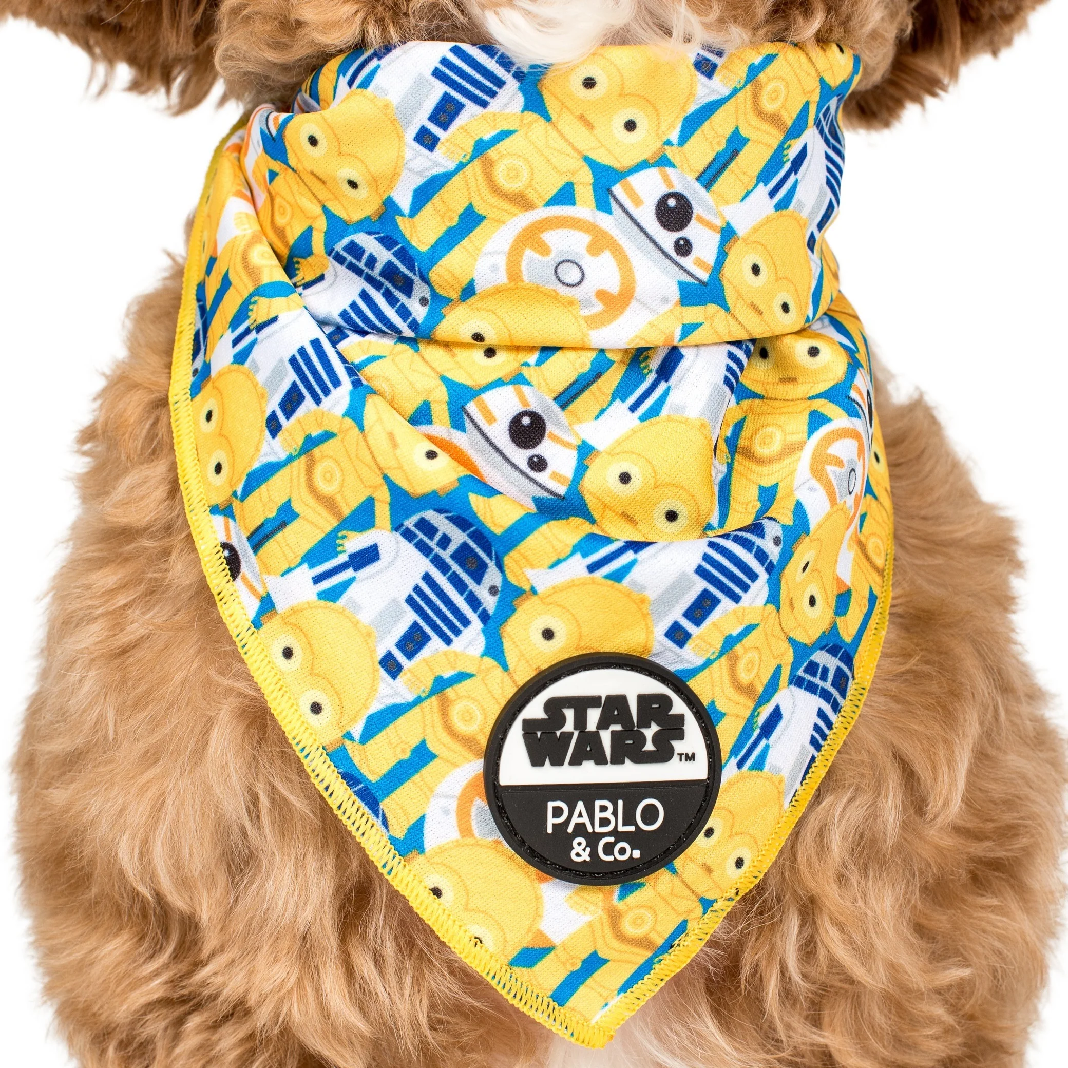 C-3PO & R2-D2: Dog Bandana