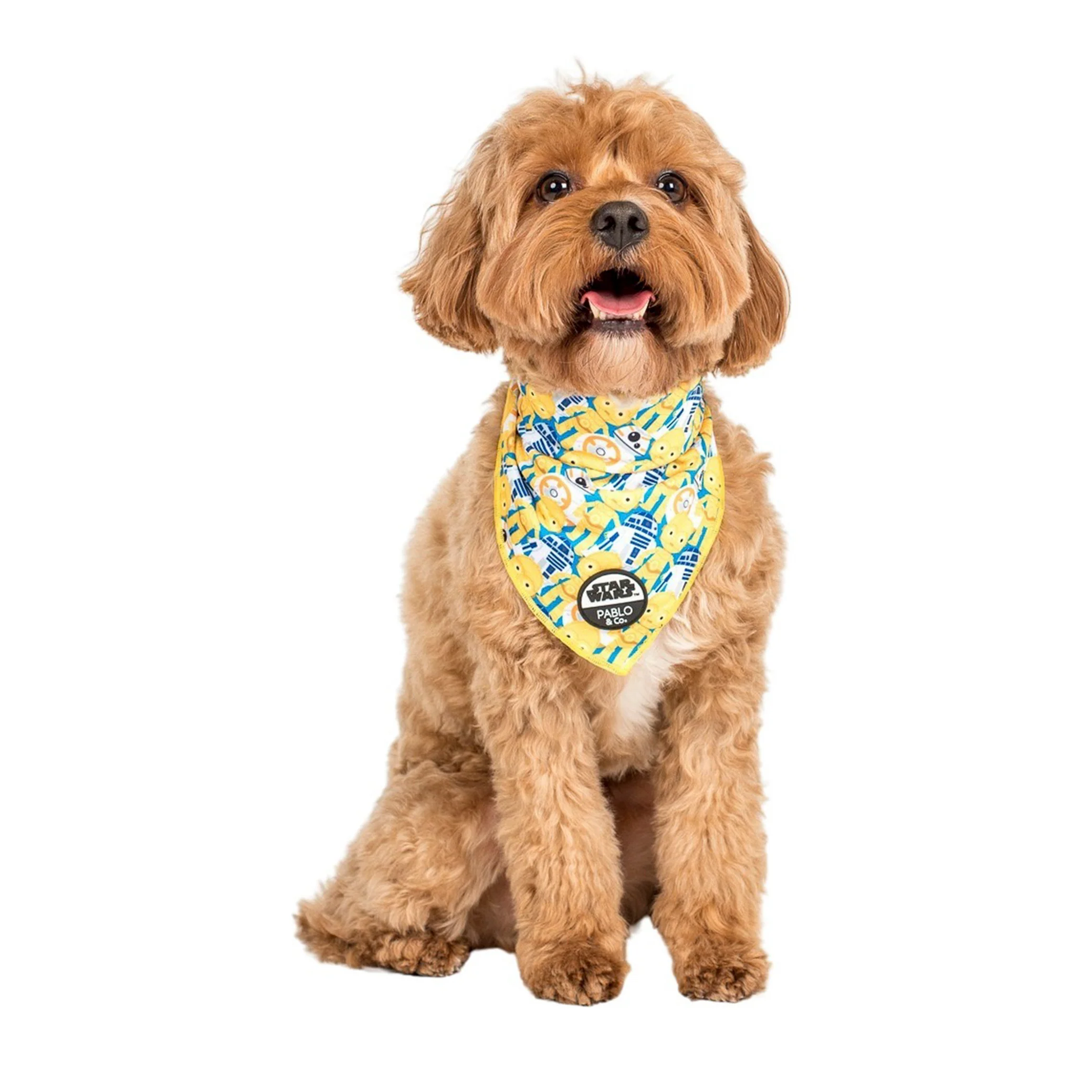 C-3PO & R2-D2: Dog Bandana - Image 2