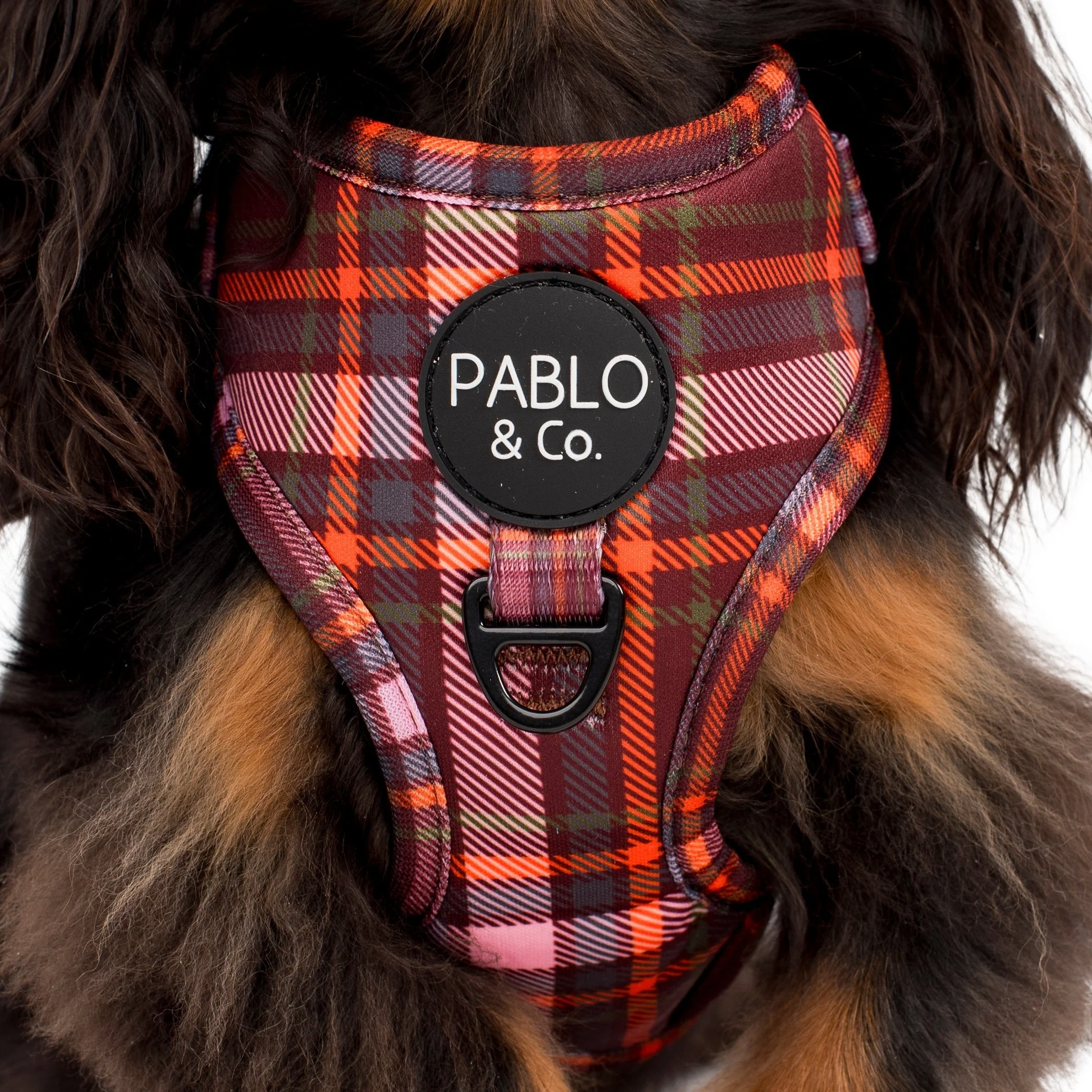 Camilla: Adjustable Harness - Image 3