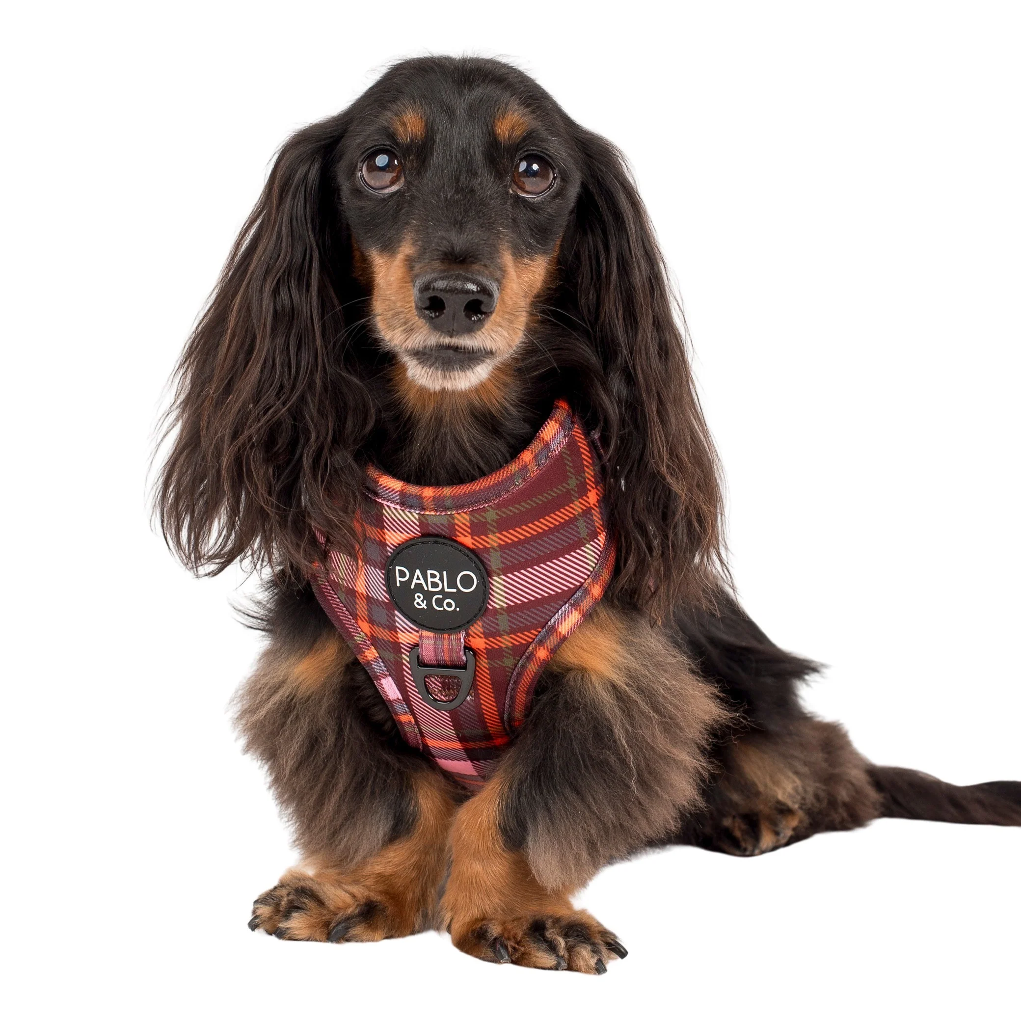 Camilla: Adjustable Harness - Image 4