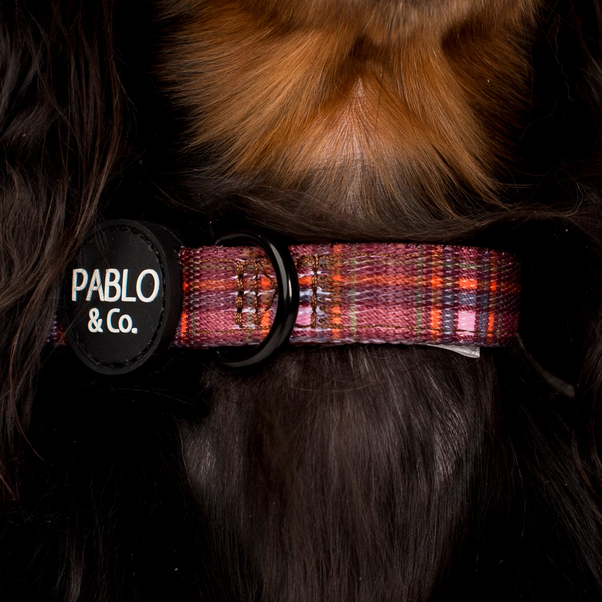 Camilla: Collar - Image 2