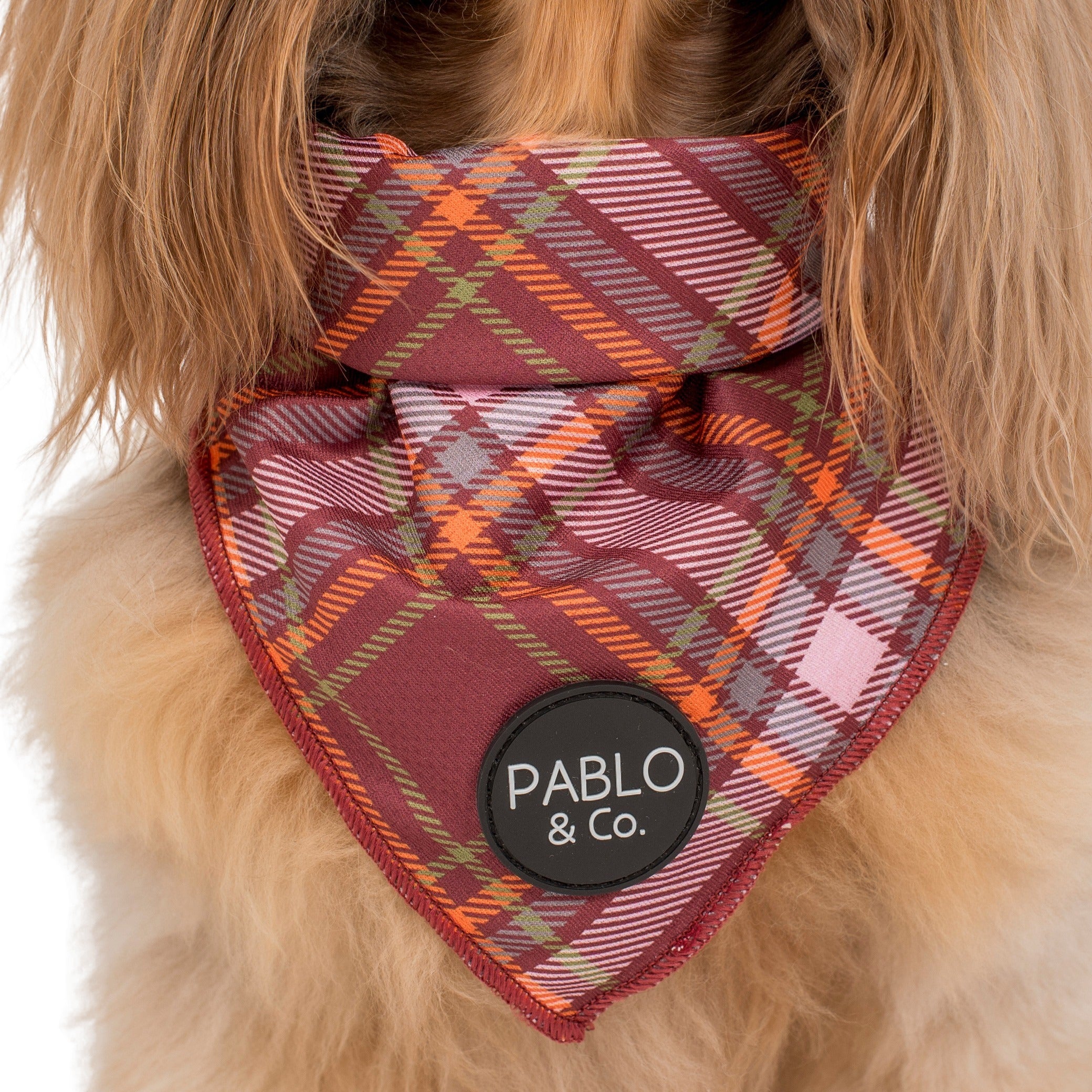 Camilla - Dog Bandana - Image 2