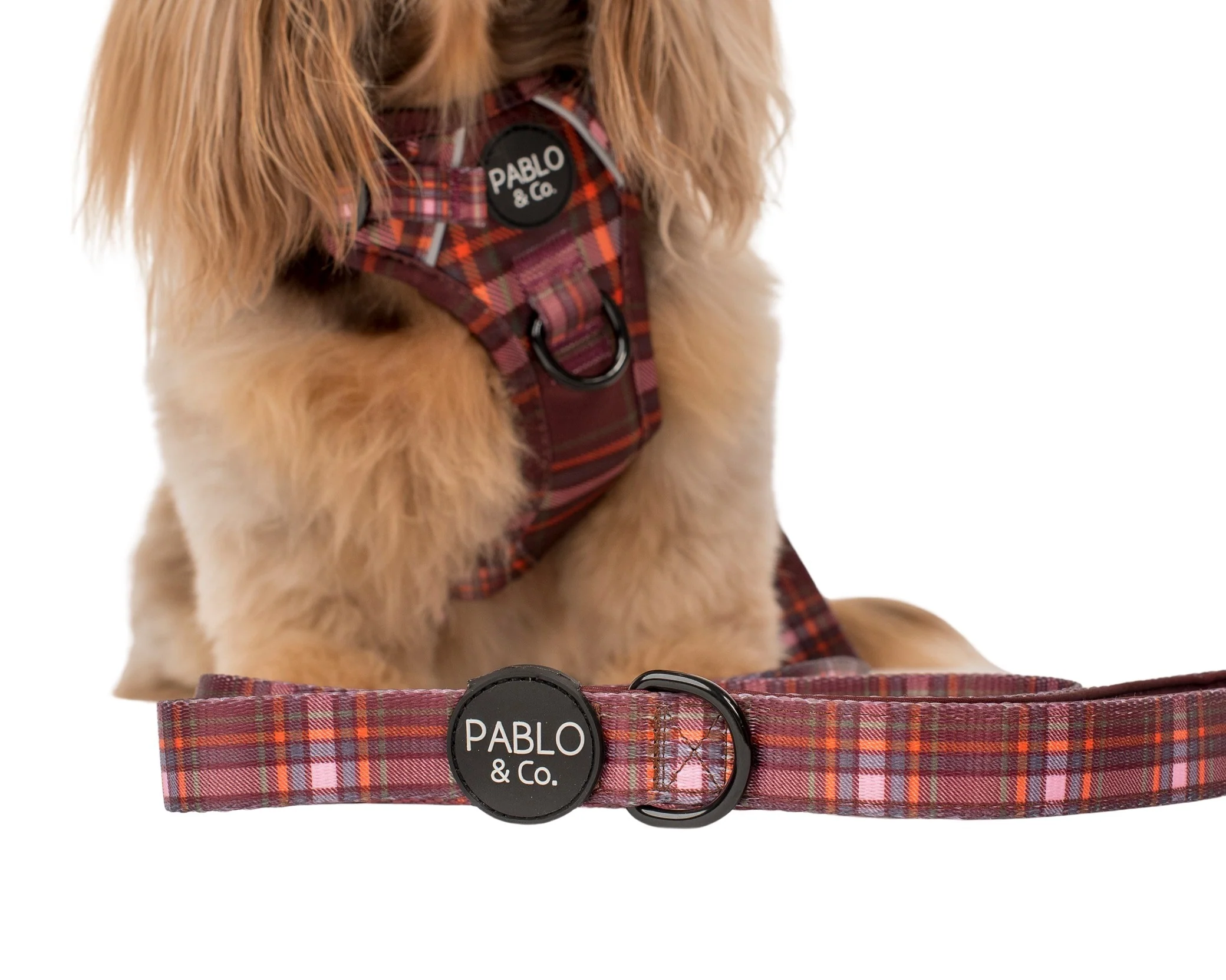 Camilla: Dog Leash - Image 2