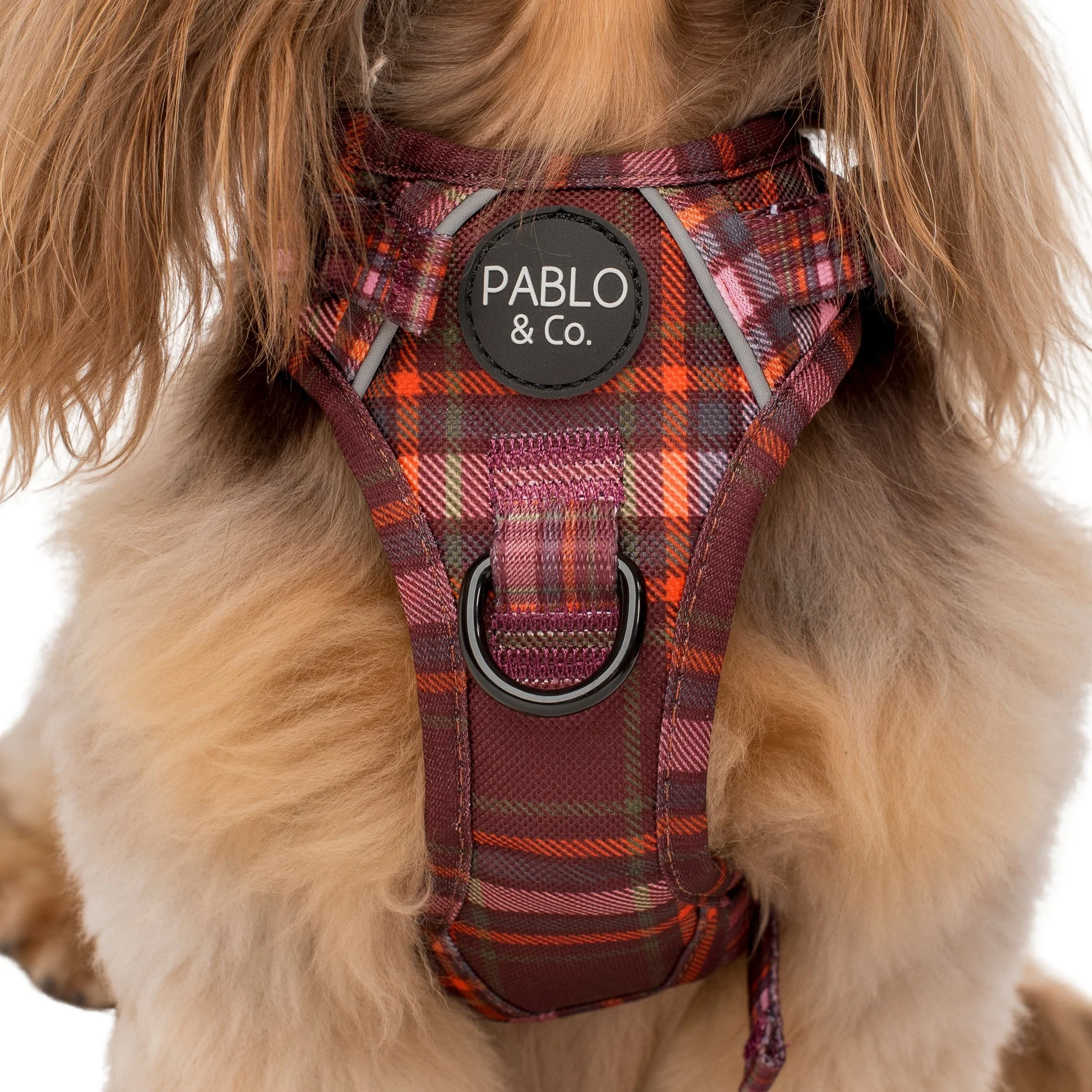 Camilla: No Pull Adventure Harness - Image 2