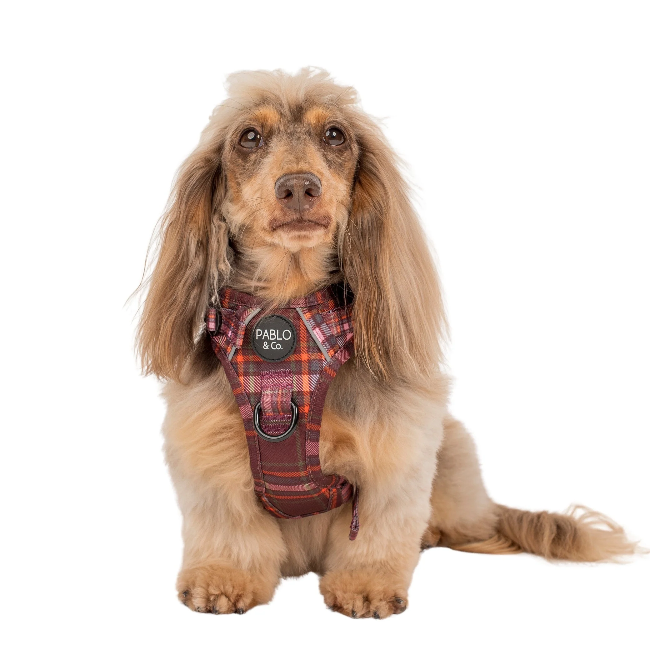 Camilla: No Pull Adventure Harness - Image 4