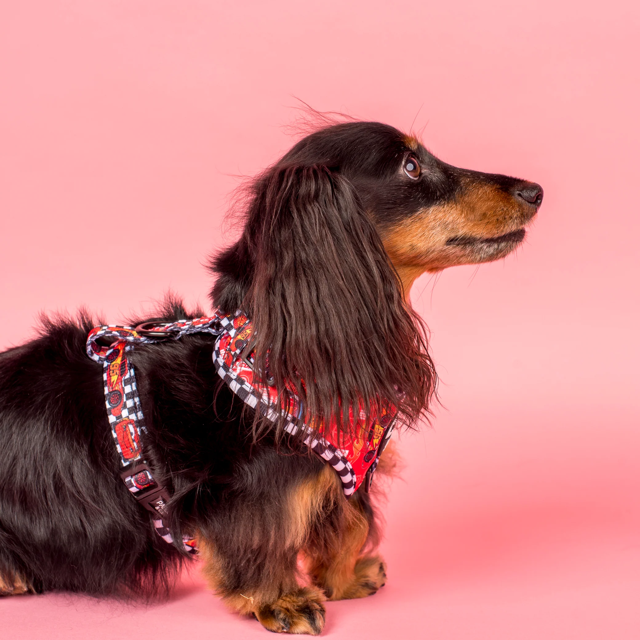 Cars: Adjustable Harness - Image 3
