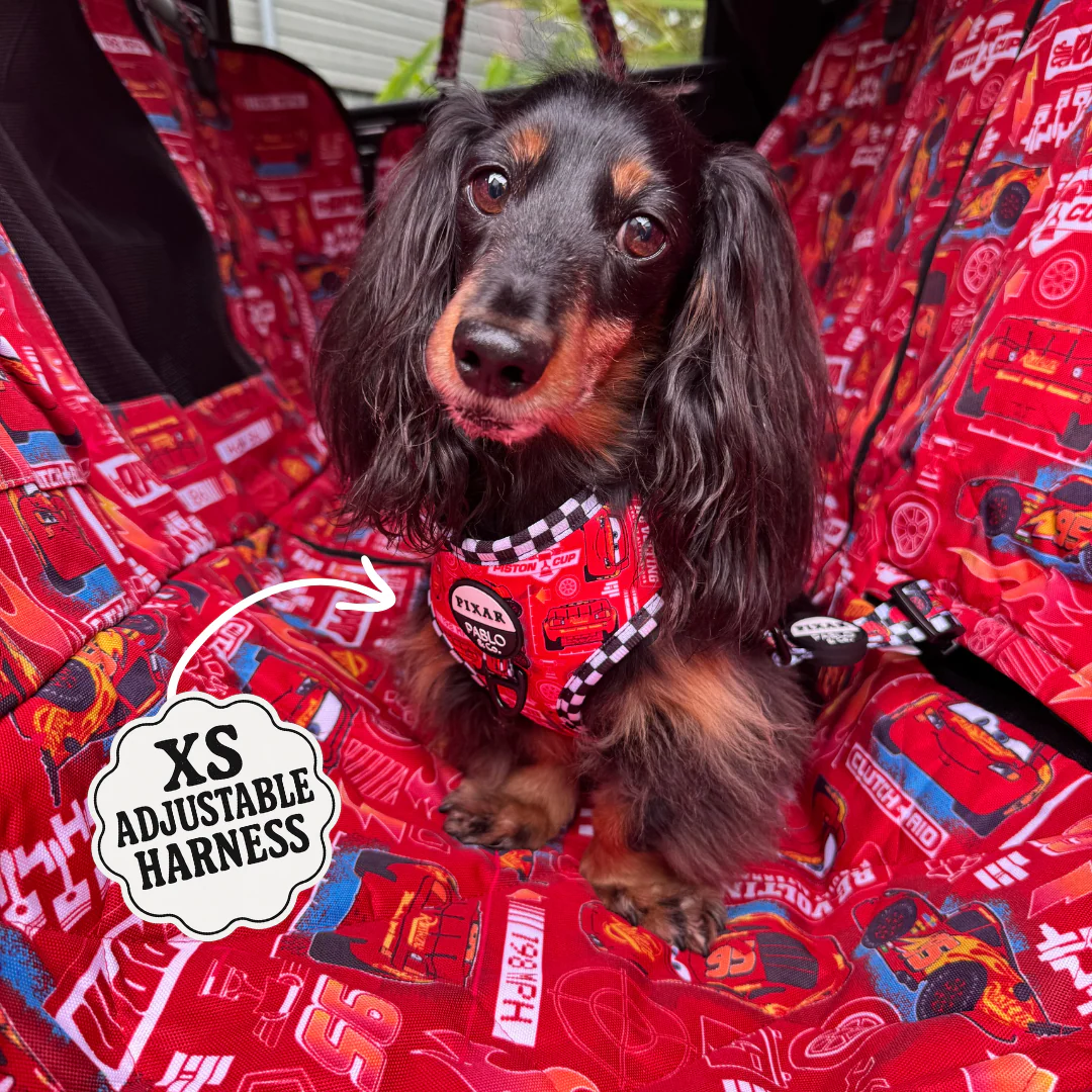 Cars: Adjustable Harness - Image 6