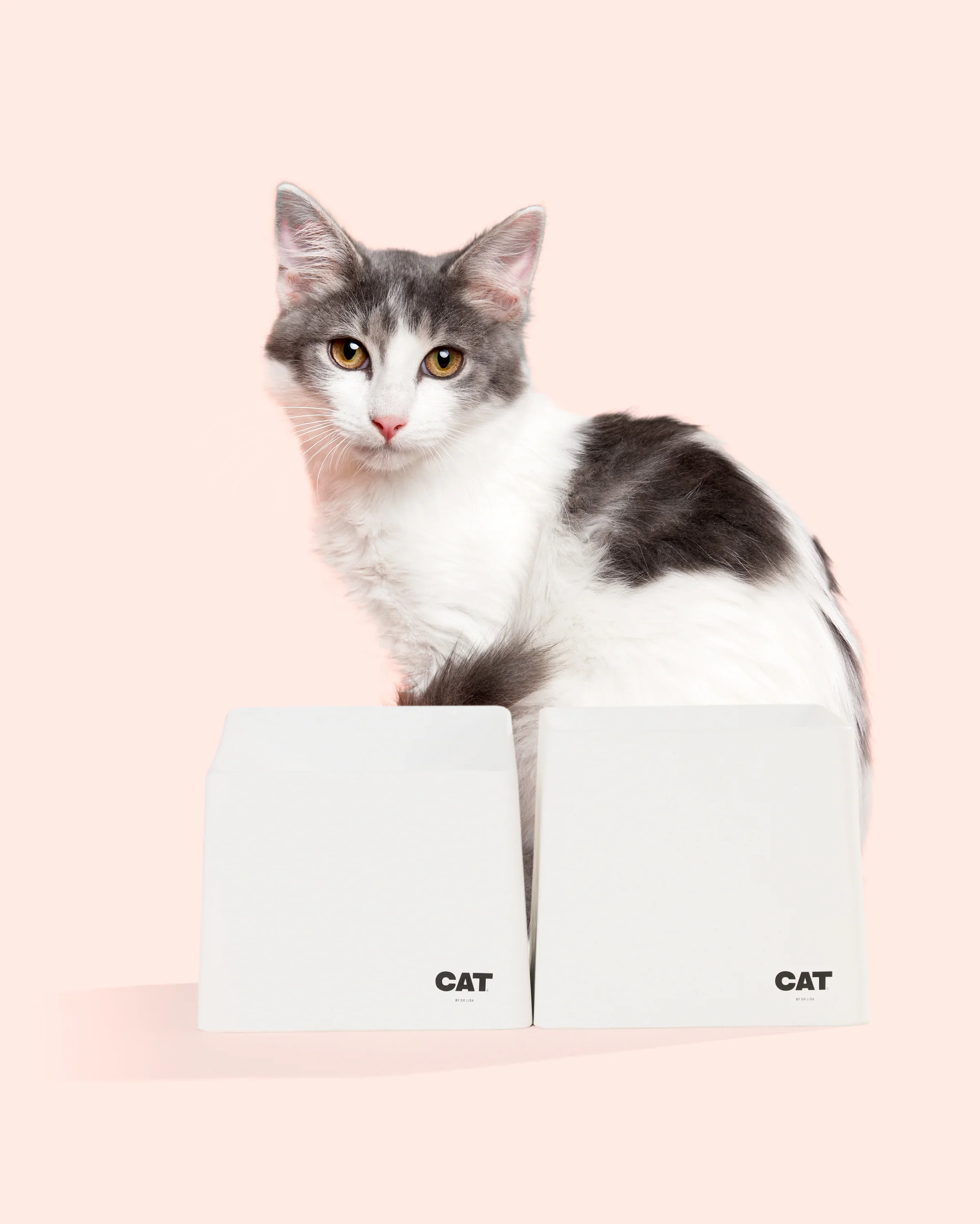 CAT Corner Bowl Set - Ecru