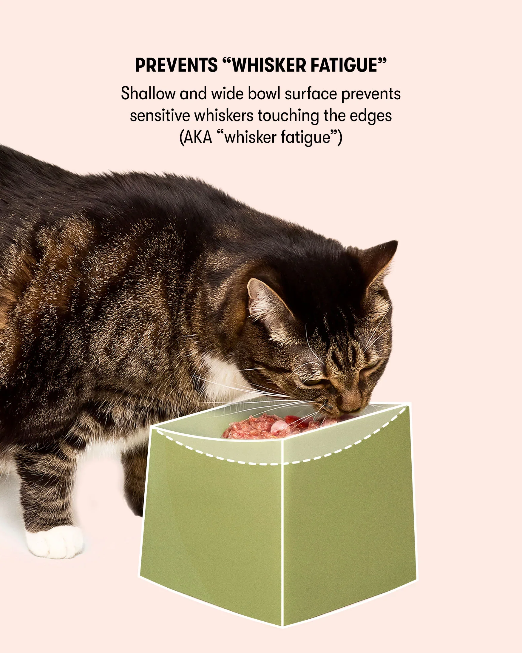 CAT Corner Bowl Set - Ecru - Image 5
