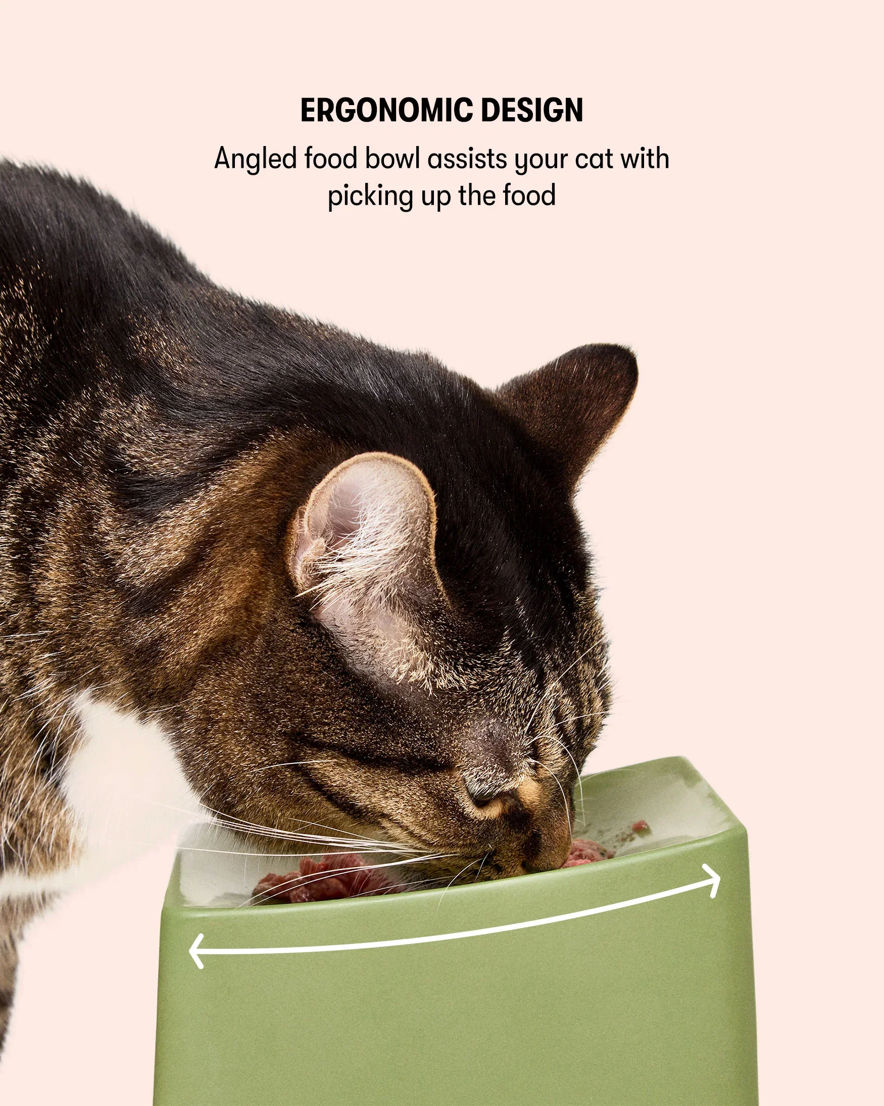 CAT Corner Bowl Set - Ecru - Image 7