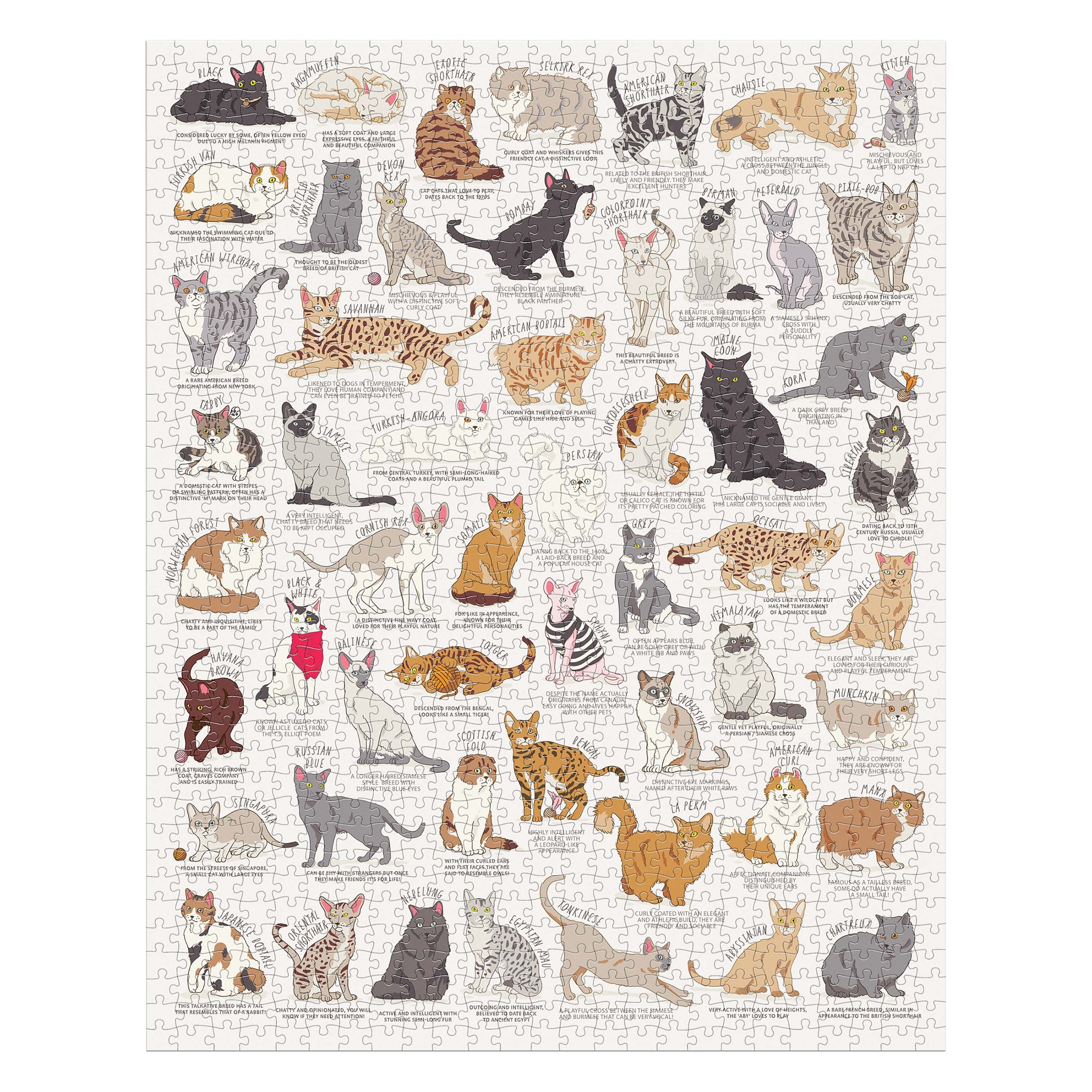 Cat Lovers 1000 Piece Jigsaw Puzzle - Image 2