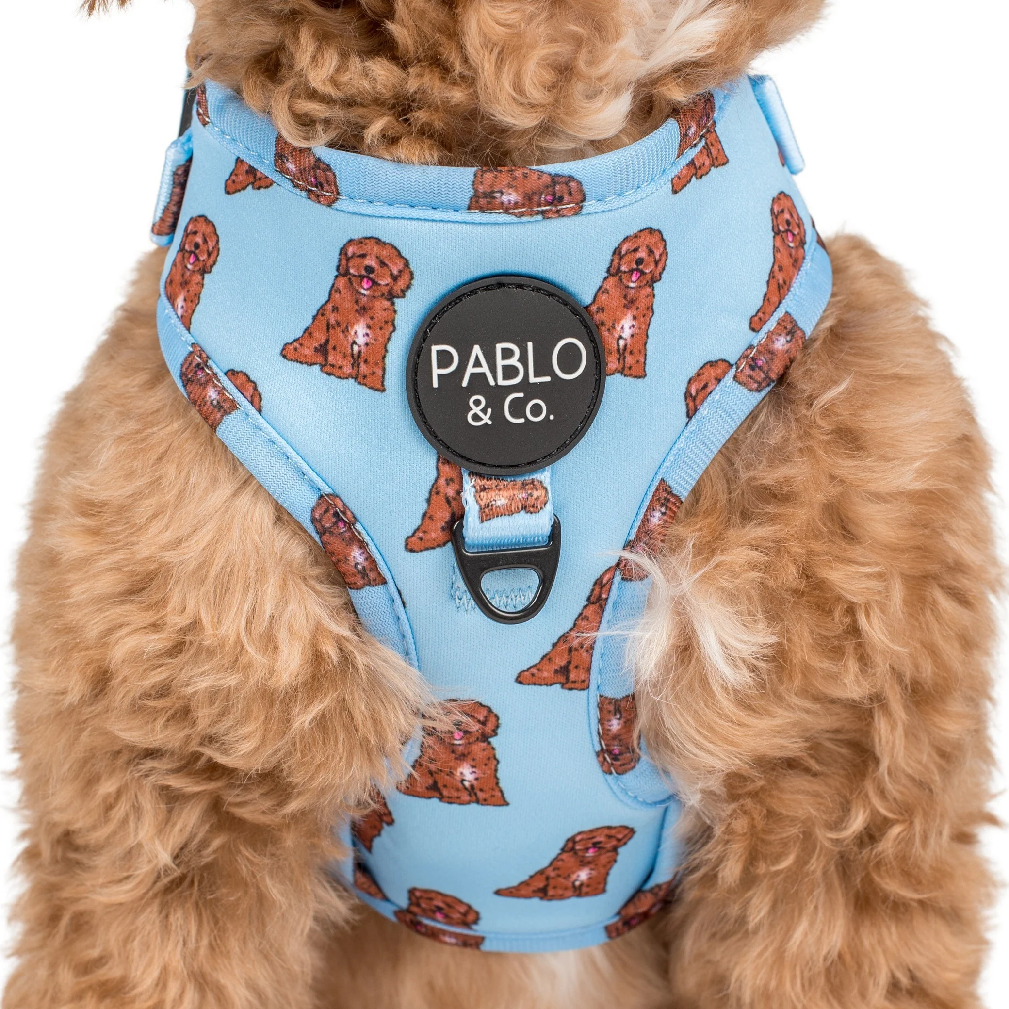 Cavoodle: Adjustable Harness - Image 2