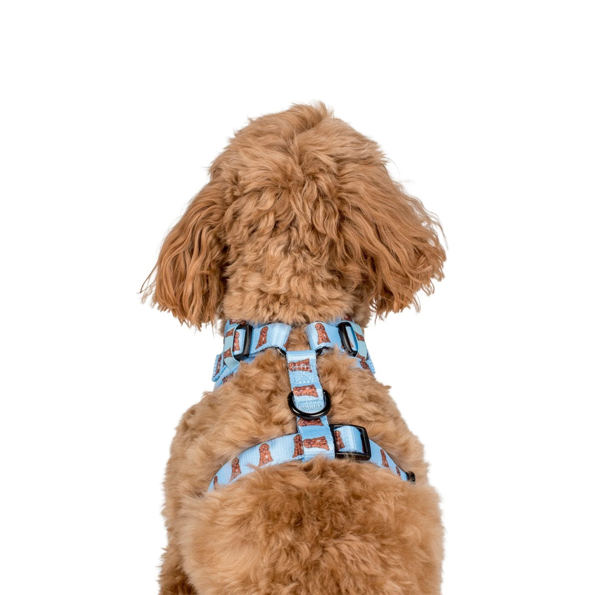 Cavoodle: Adjustable Harness - Image 5