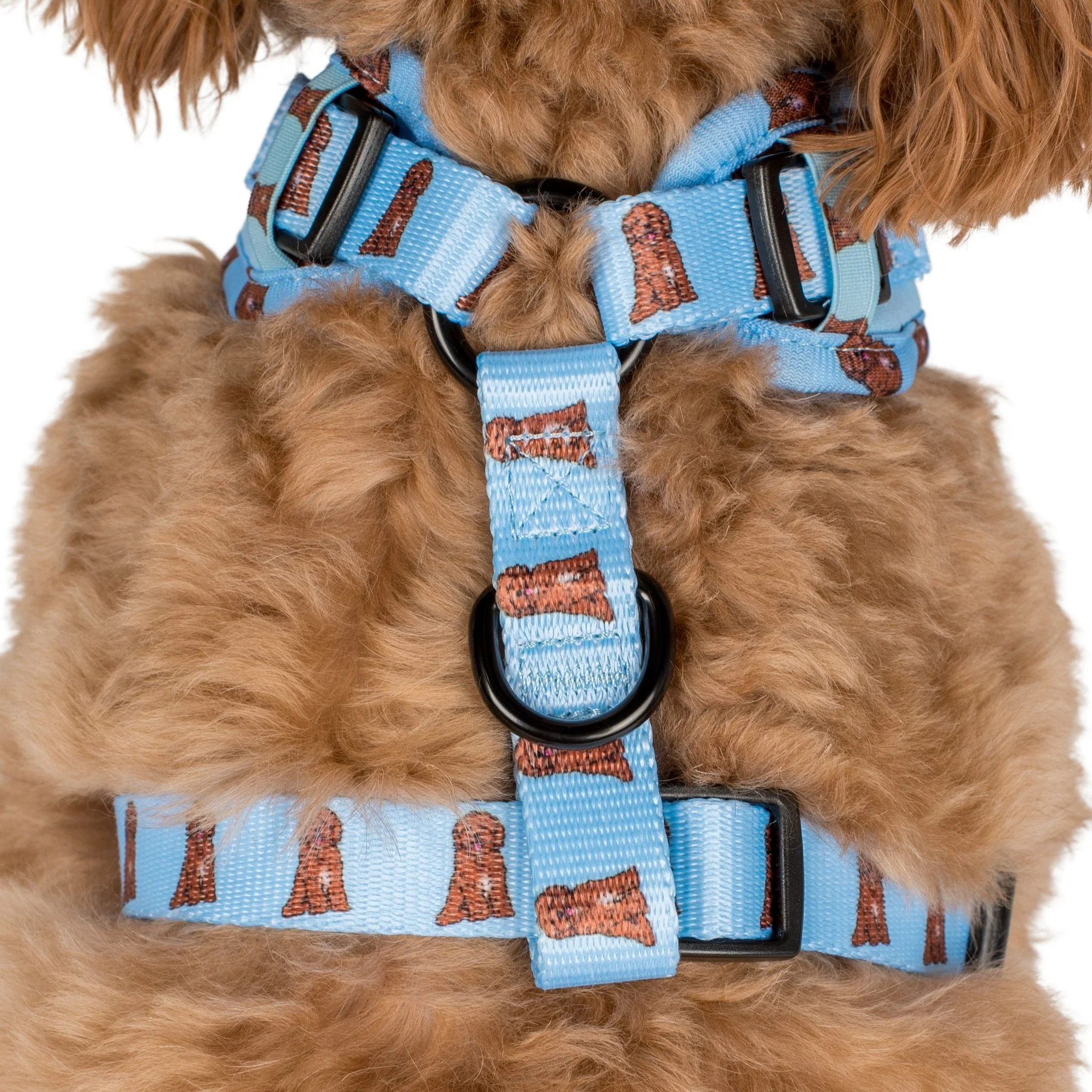 Cavoodle: Adjustable Harness - Image 6