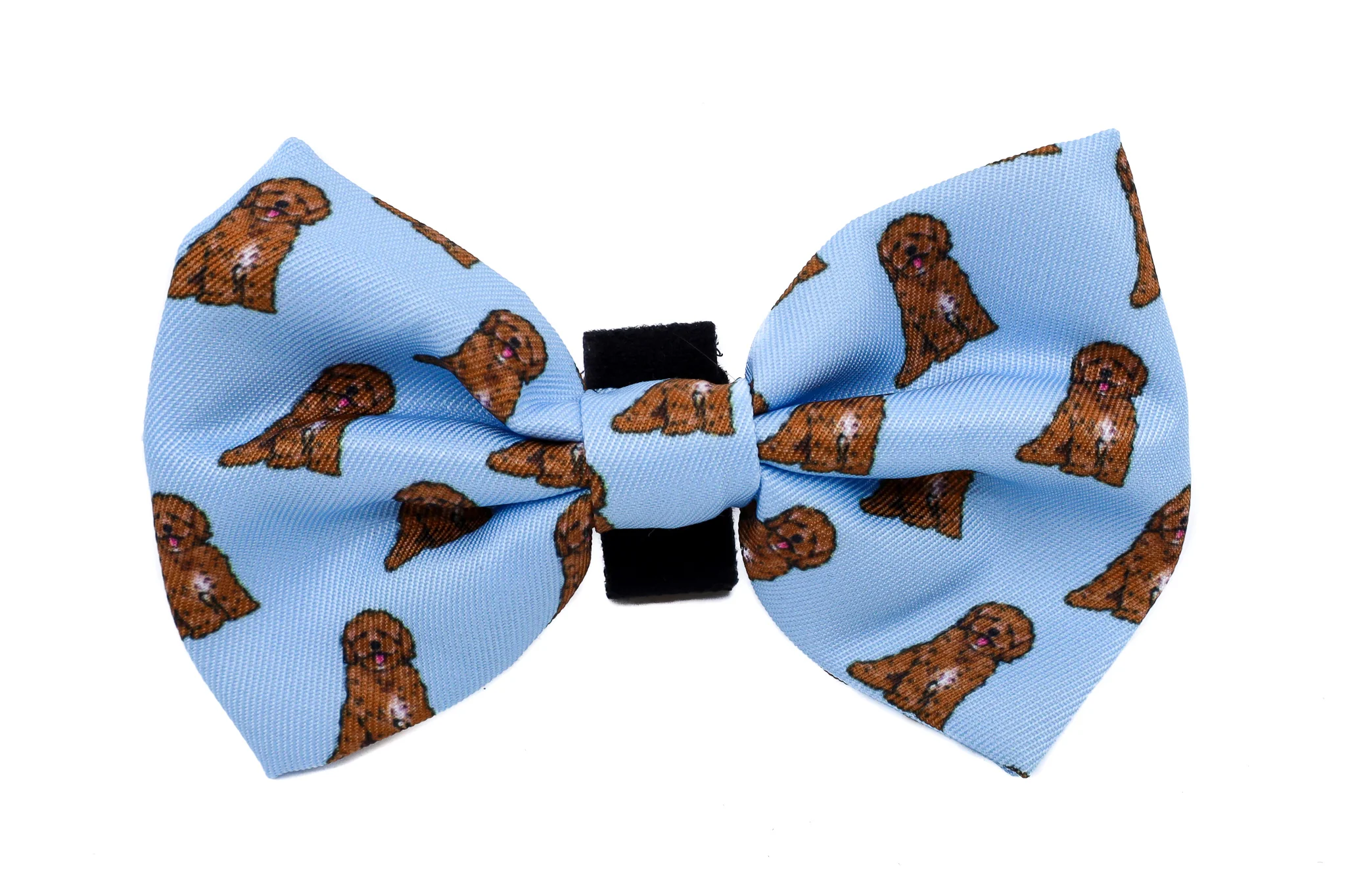 Cavoodle: Bow Tie - Image 3