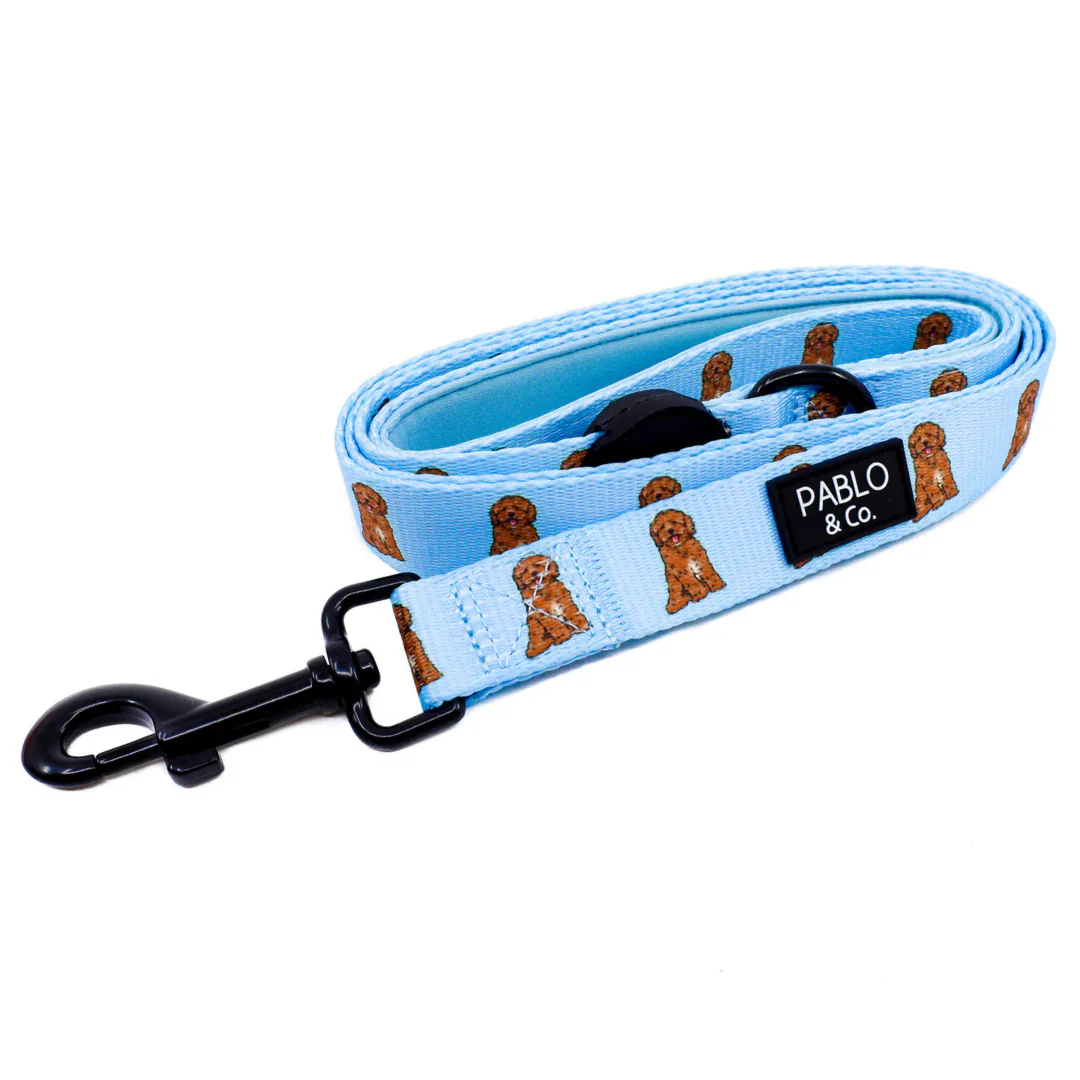 Cavoodle: Dog Leash