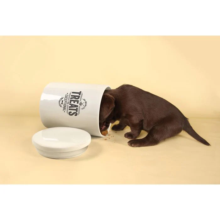 CERAMIC TREAT JAR - EXCEPTIONAL BEHAVIOUR - Image 4