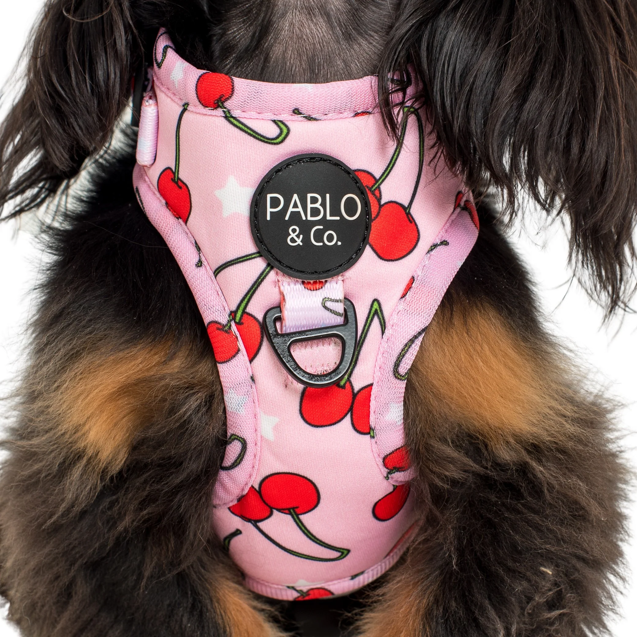 Cherries: Adjustable Harness - Image 2