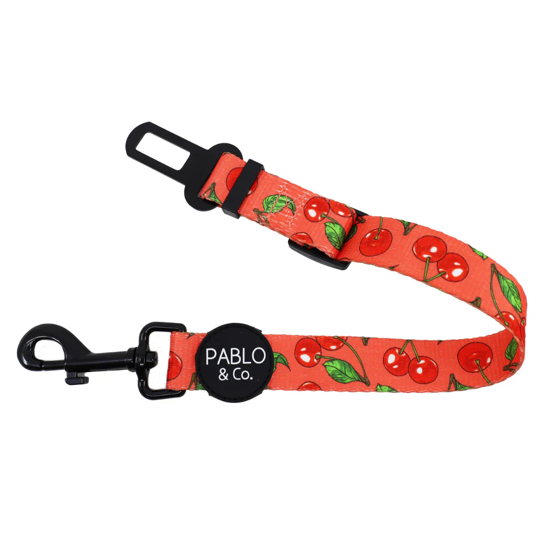 Cherry: Adjustable Car Restraint