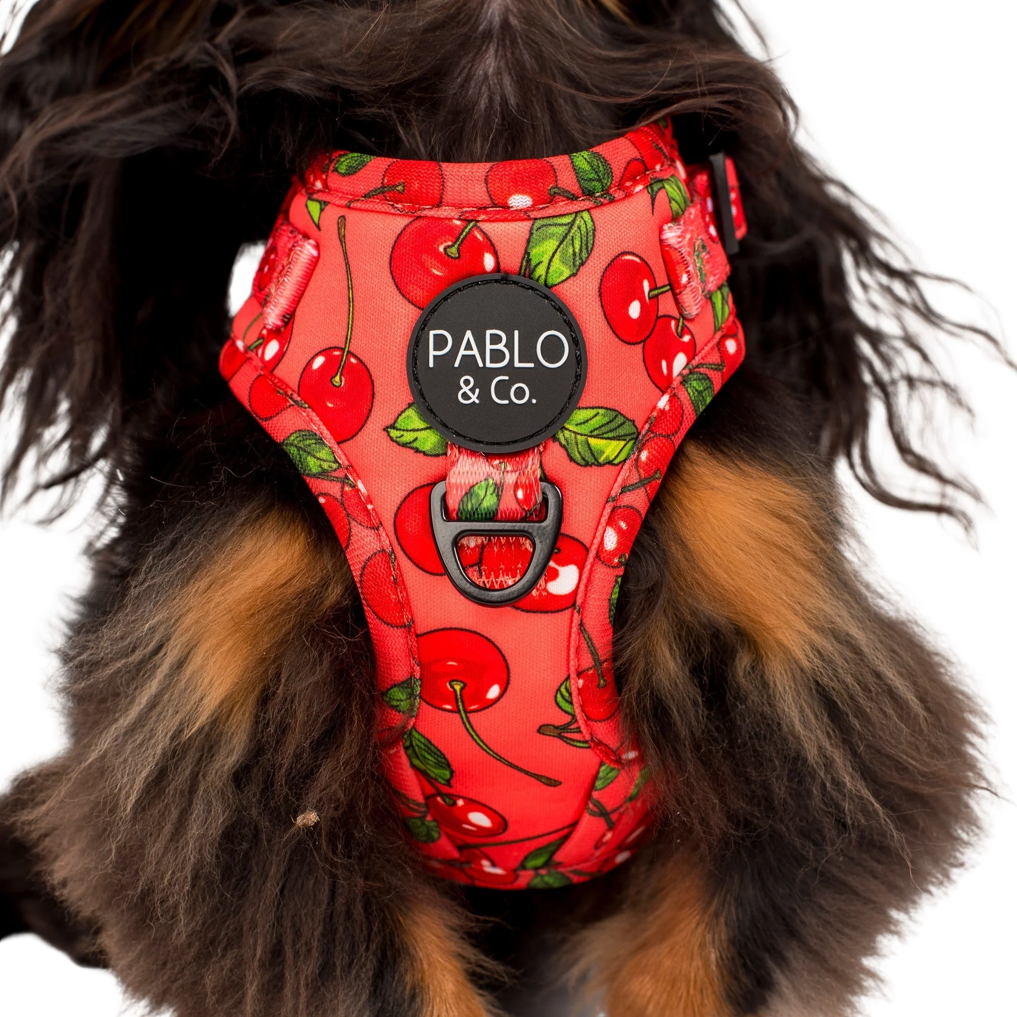 Cherry: Adjustable Harness - Image 2