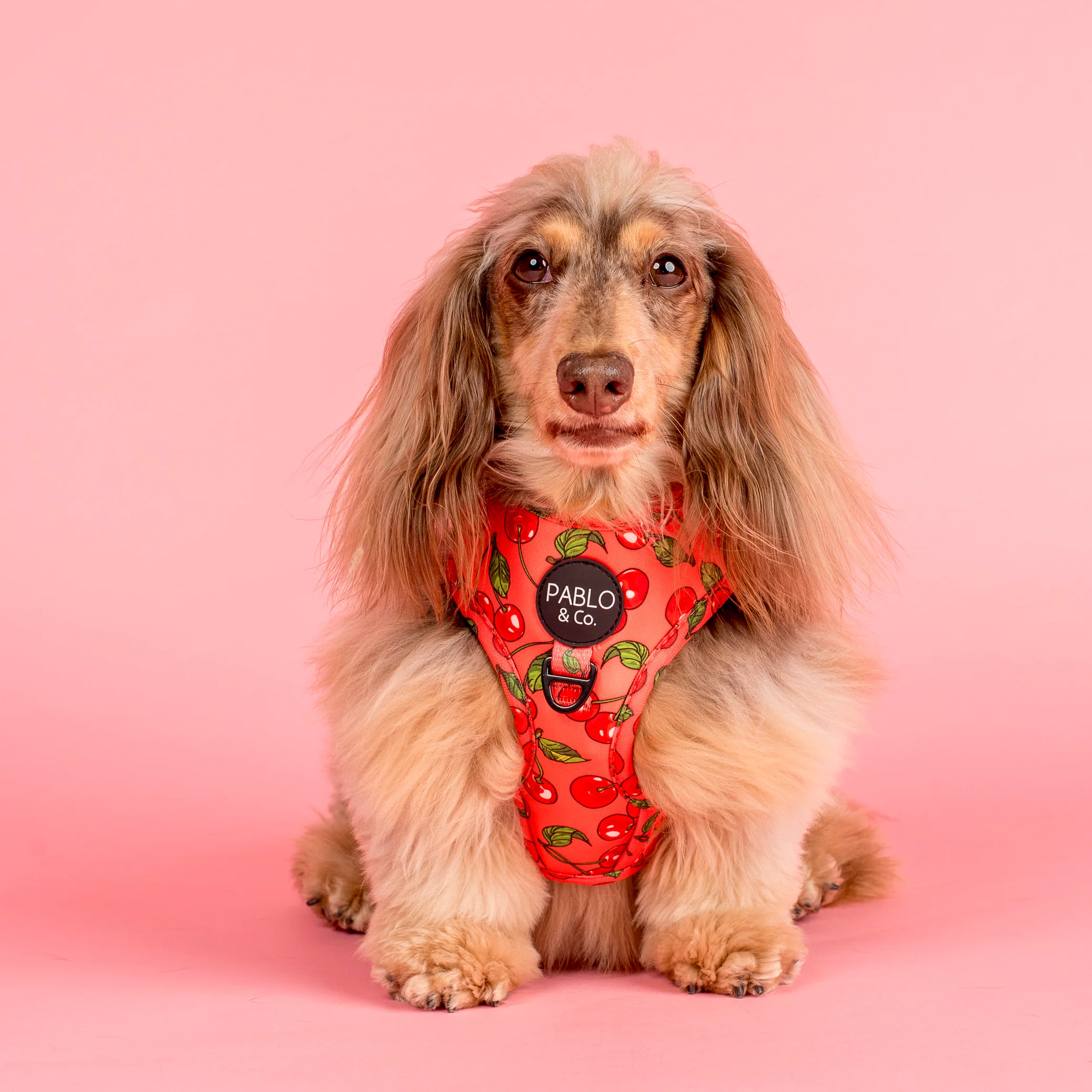 Cherry: Adjustable Harness - Image 3